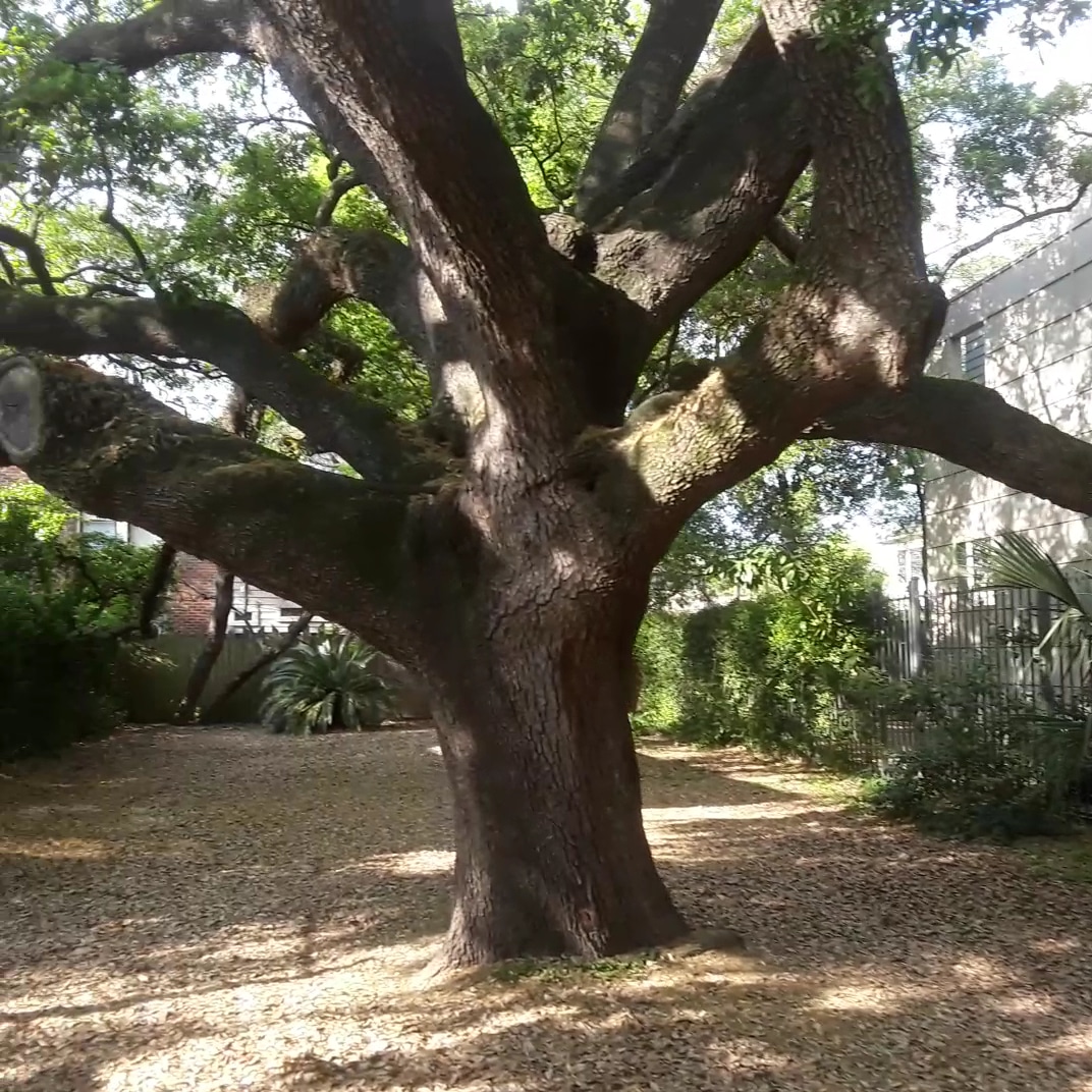 Shiffick (Peggy H.) Park - Houston, TX