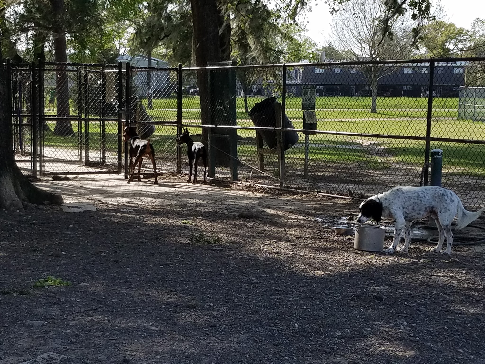 TC Jester Dog Park - Houston, TX