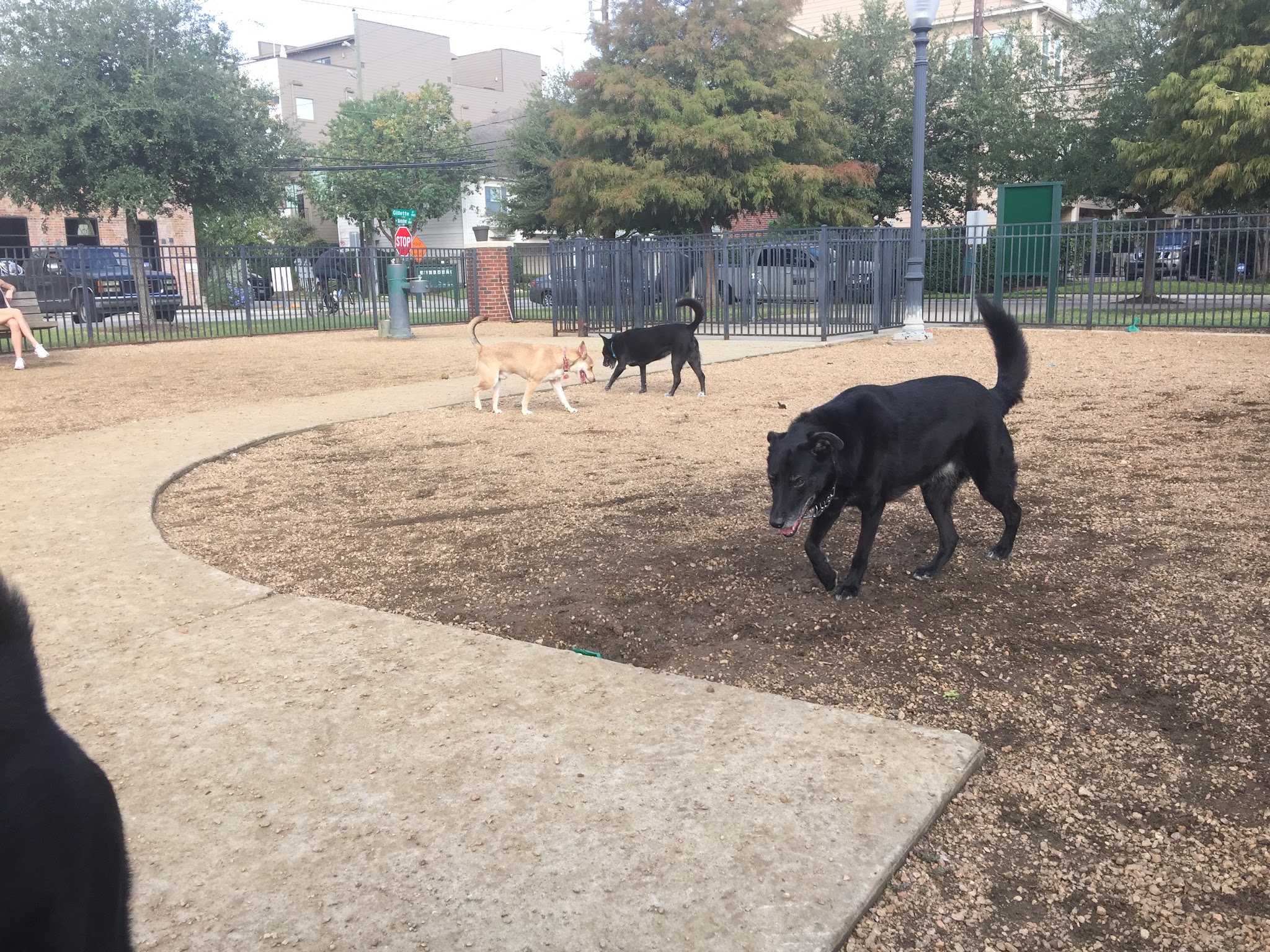 West Webster Park - Houston, TX