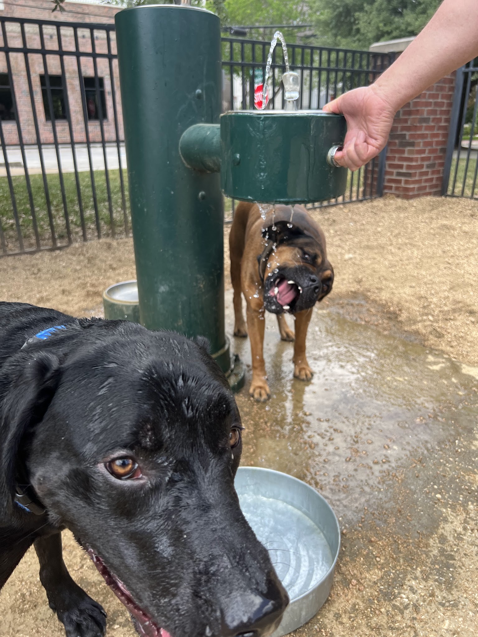 West Webster Park - Houston, TX