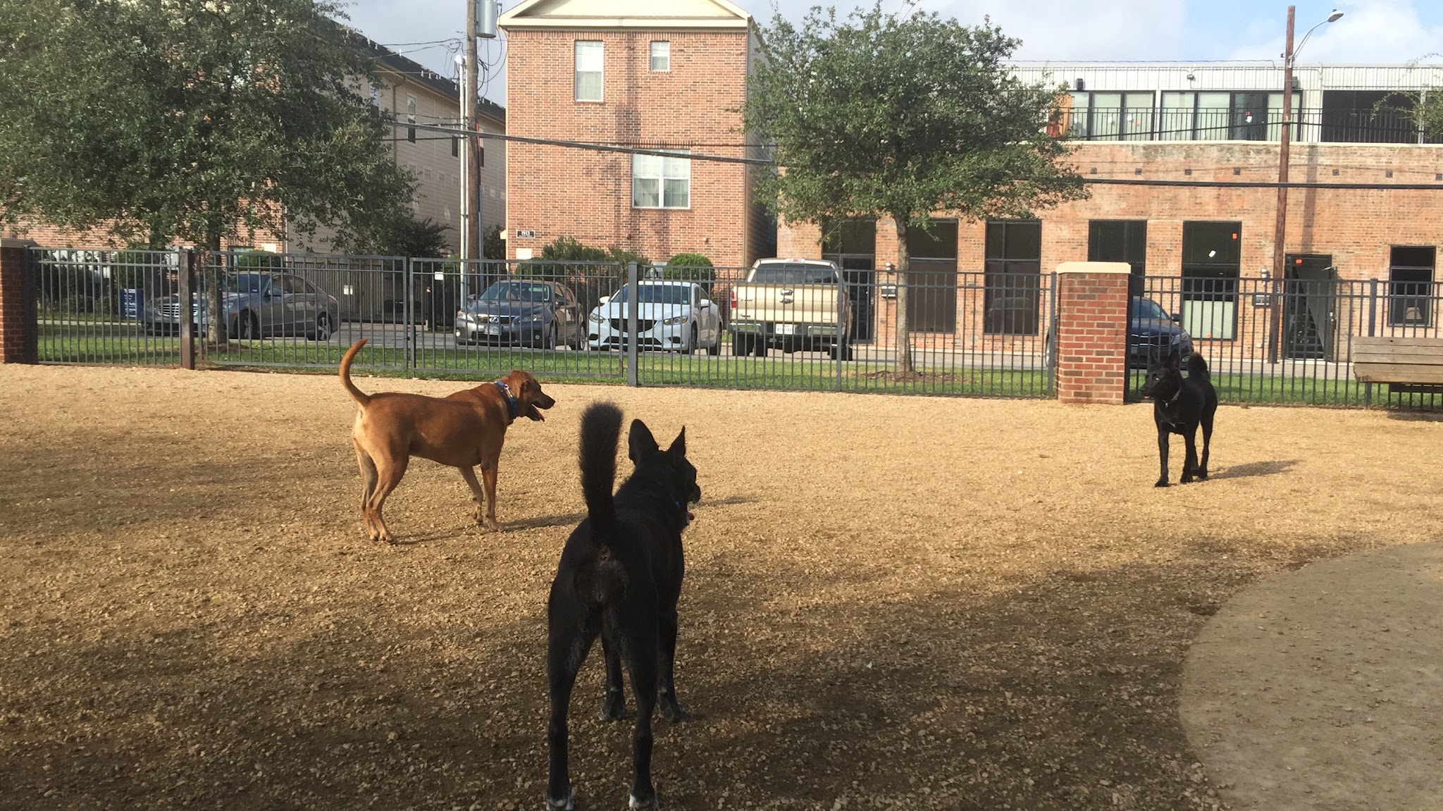 West Webster Park - Houston, TX