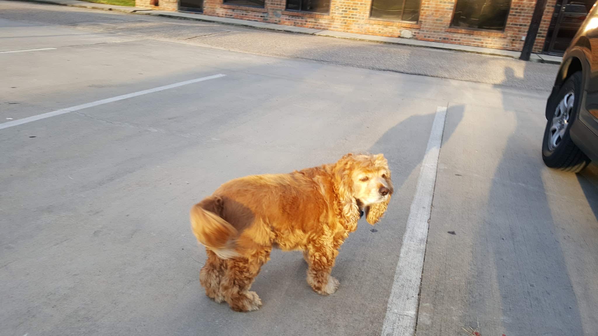 West Webster Park - Houston, TX