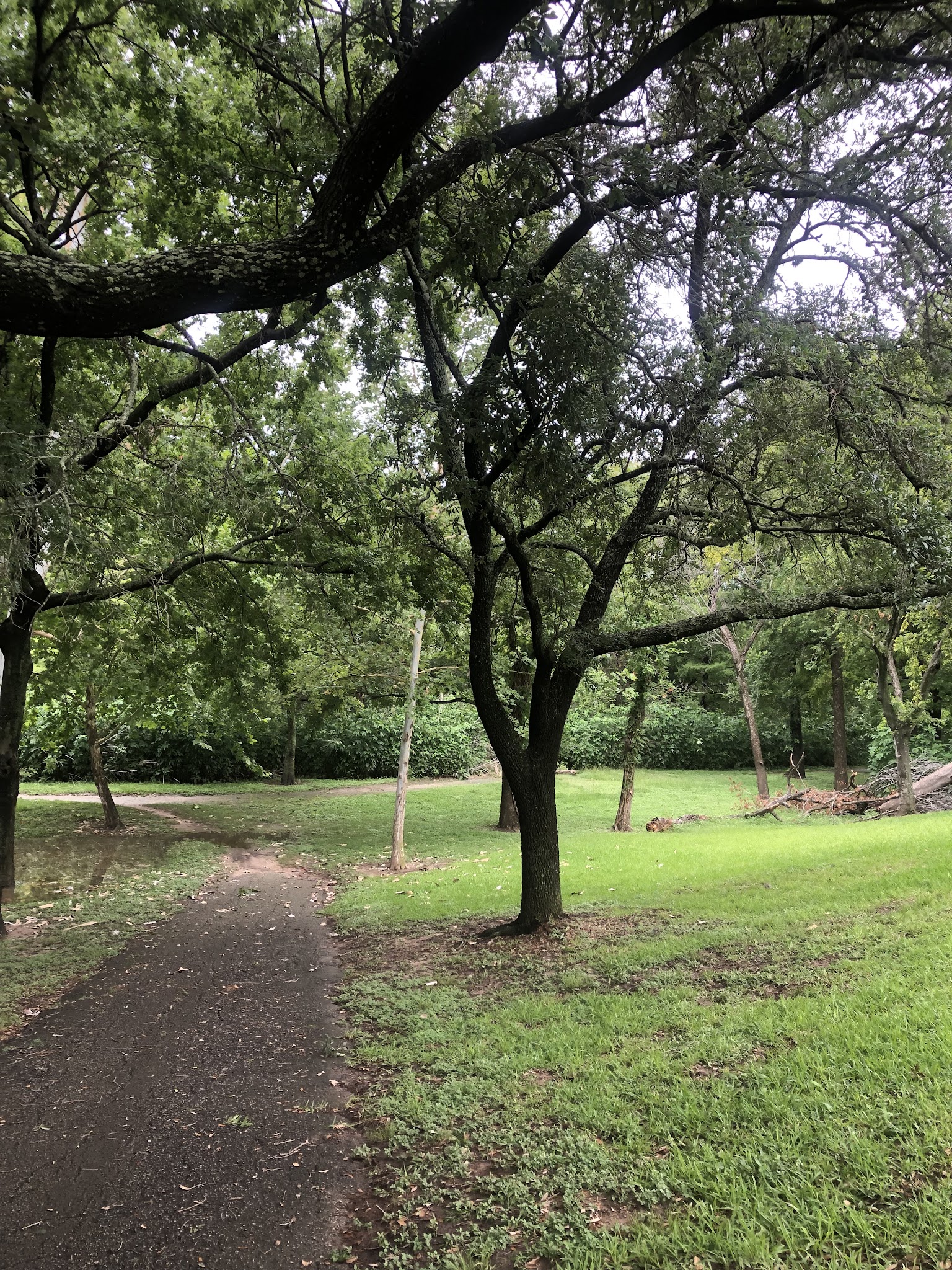 White Oak Bayou Greenway Bike Trailhead - Houston, TX