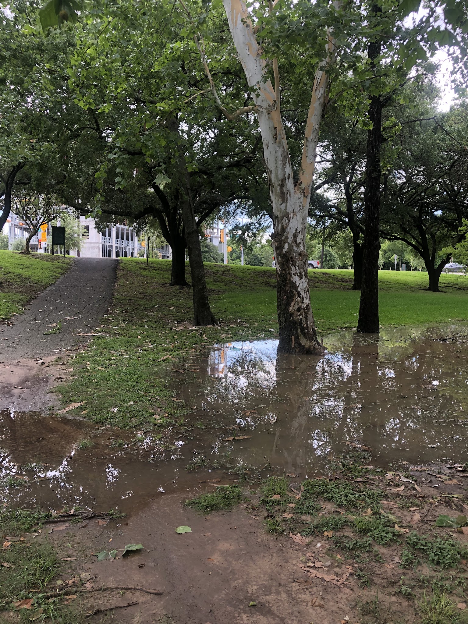 White Oak Bayou Greenway Bike Trailhead - Houston, TX