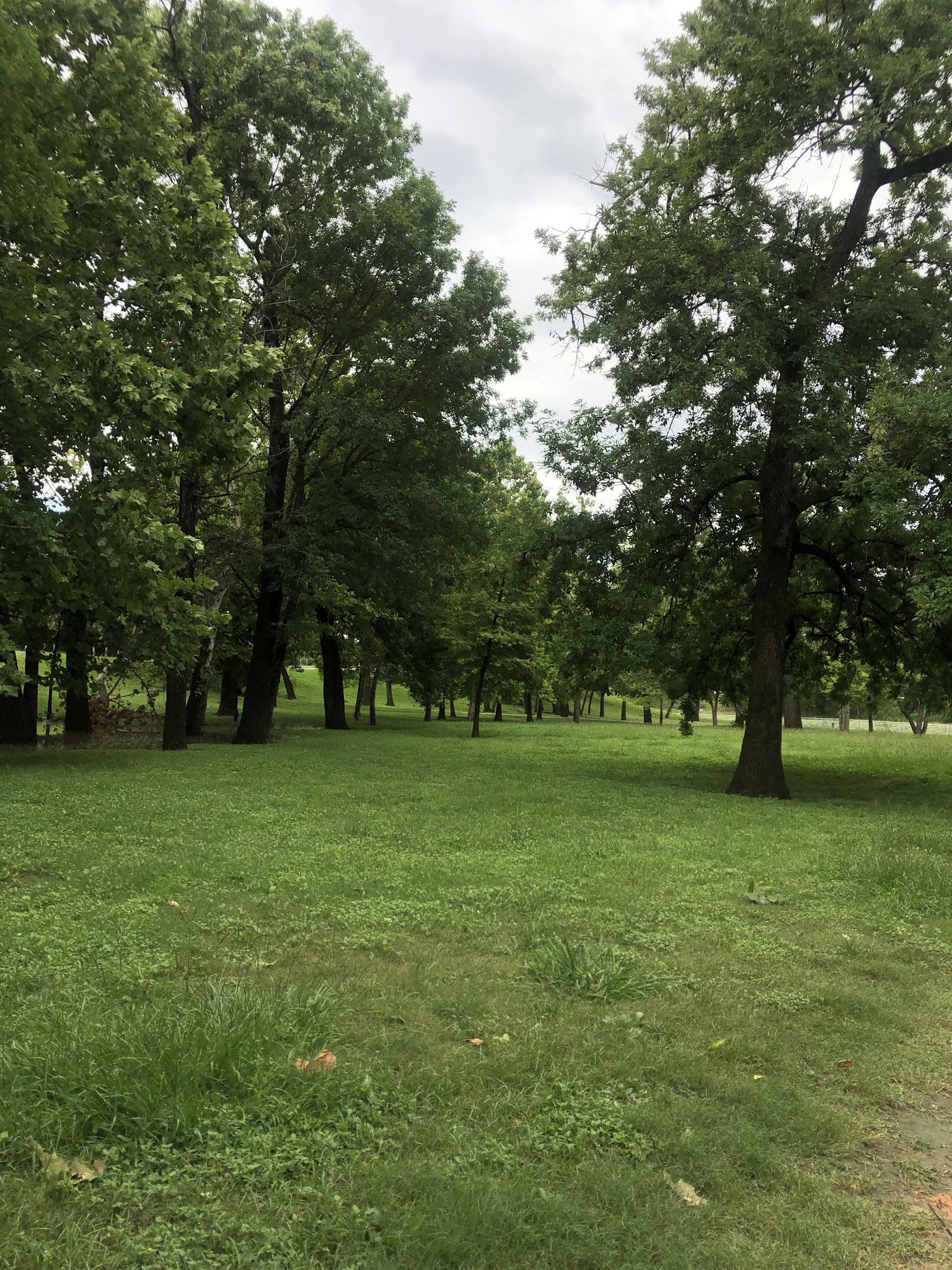 White Oak Bayou Greenway Bike Trailhead - Houston, TX