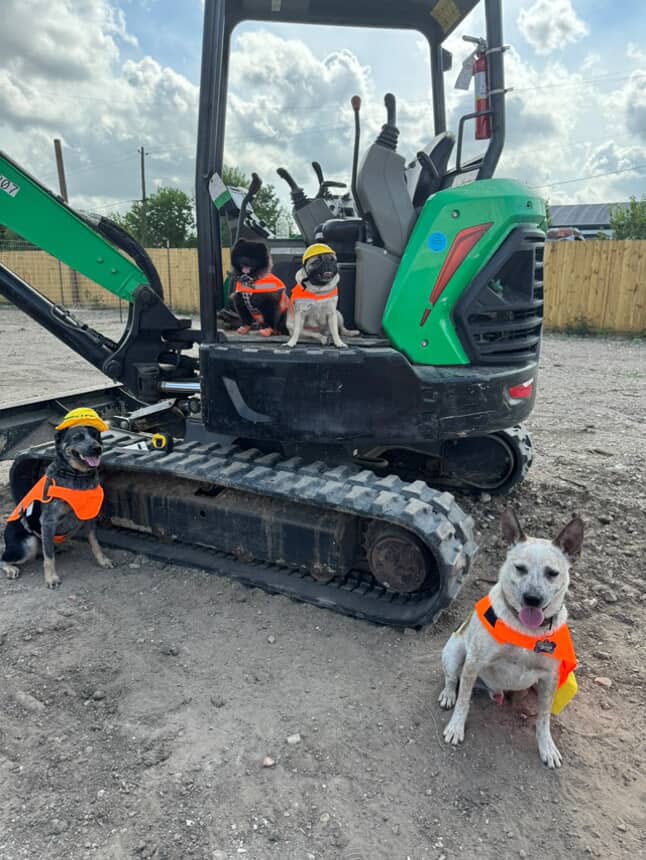 Zoomies - Houston, TX