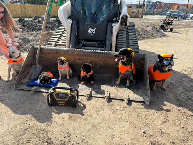 Zoomies - Houston, TX