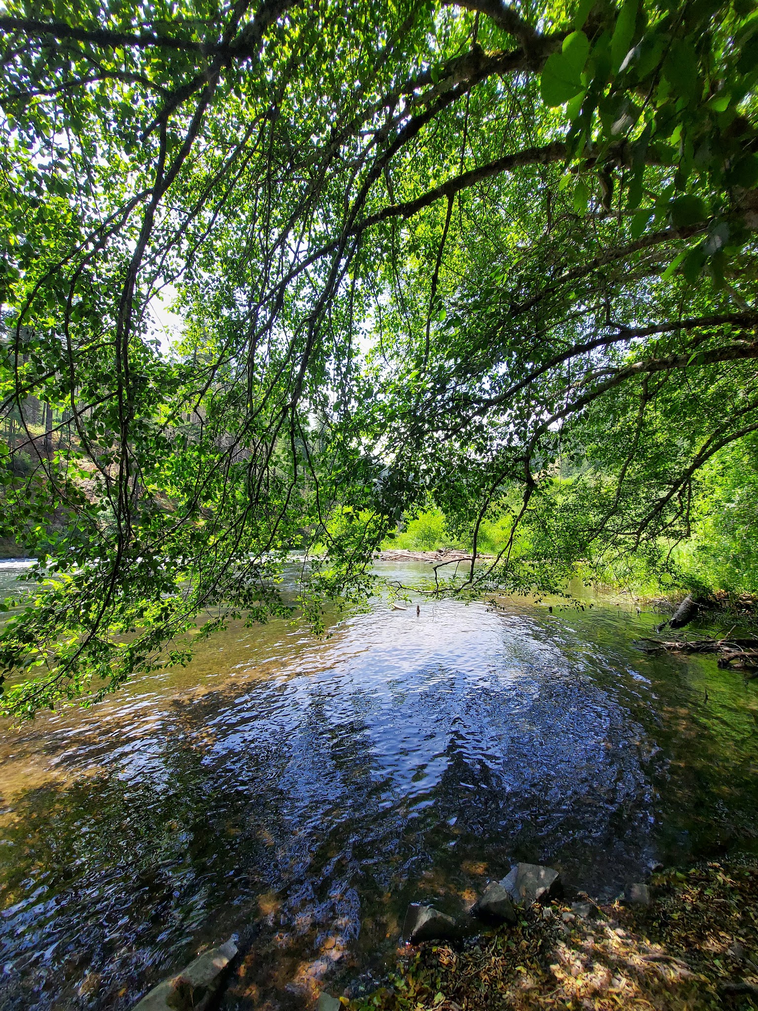 Gravel Bin Raft Launch - Idleyld Park, OR