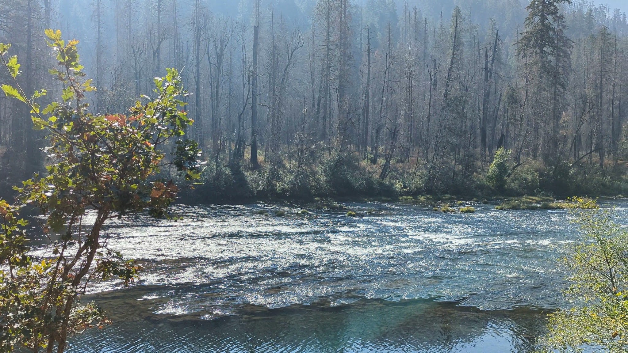 Susan Creek Day Use Area - Idleyld Park, OR
