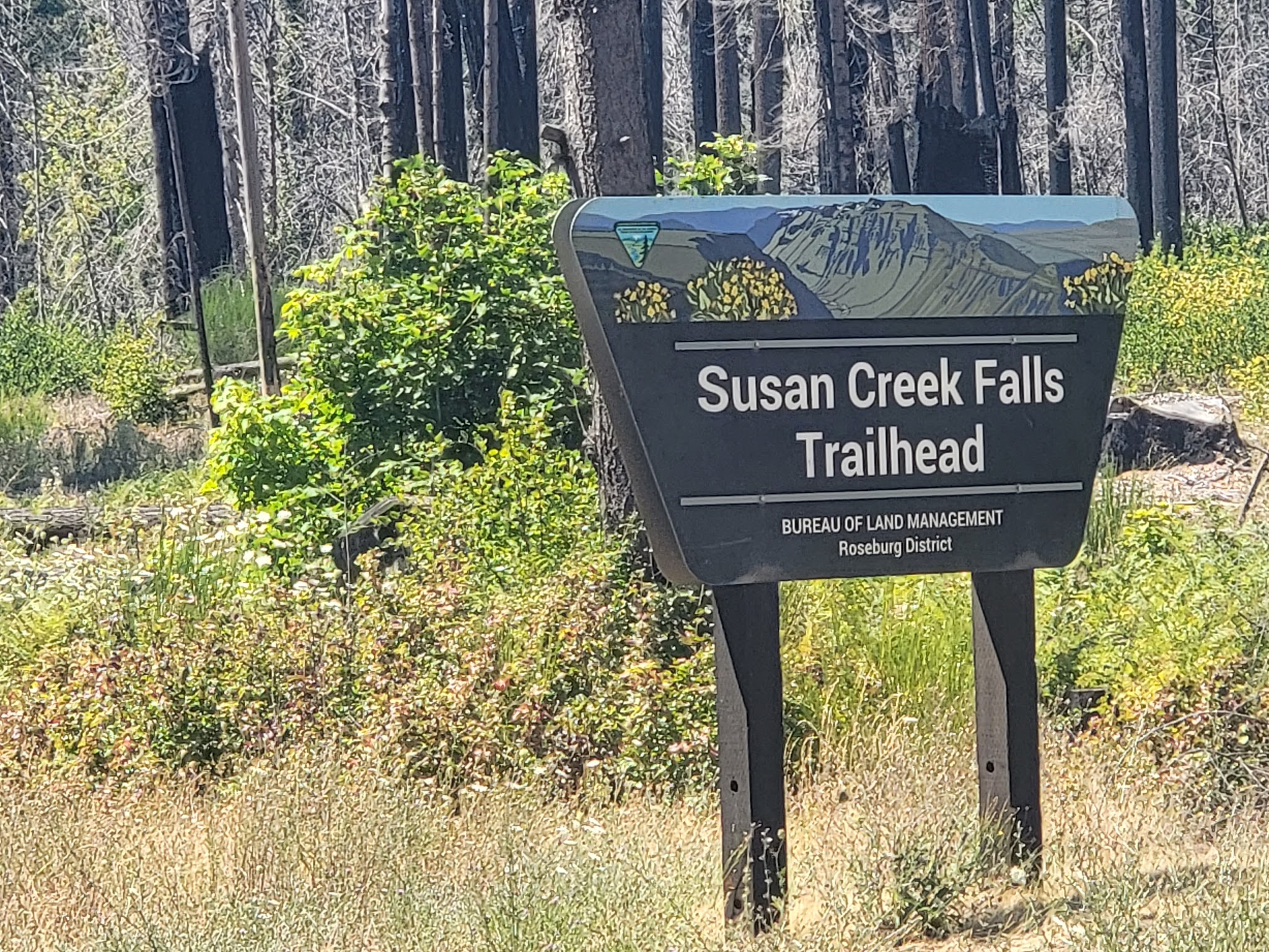 Susan Creek Day Use Area - Idleyld Park, OR