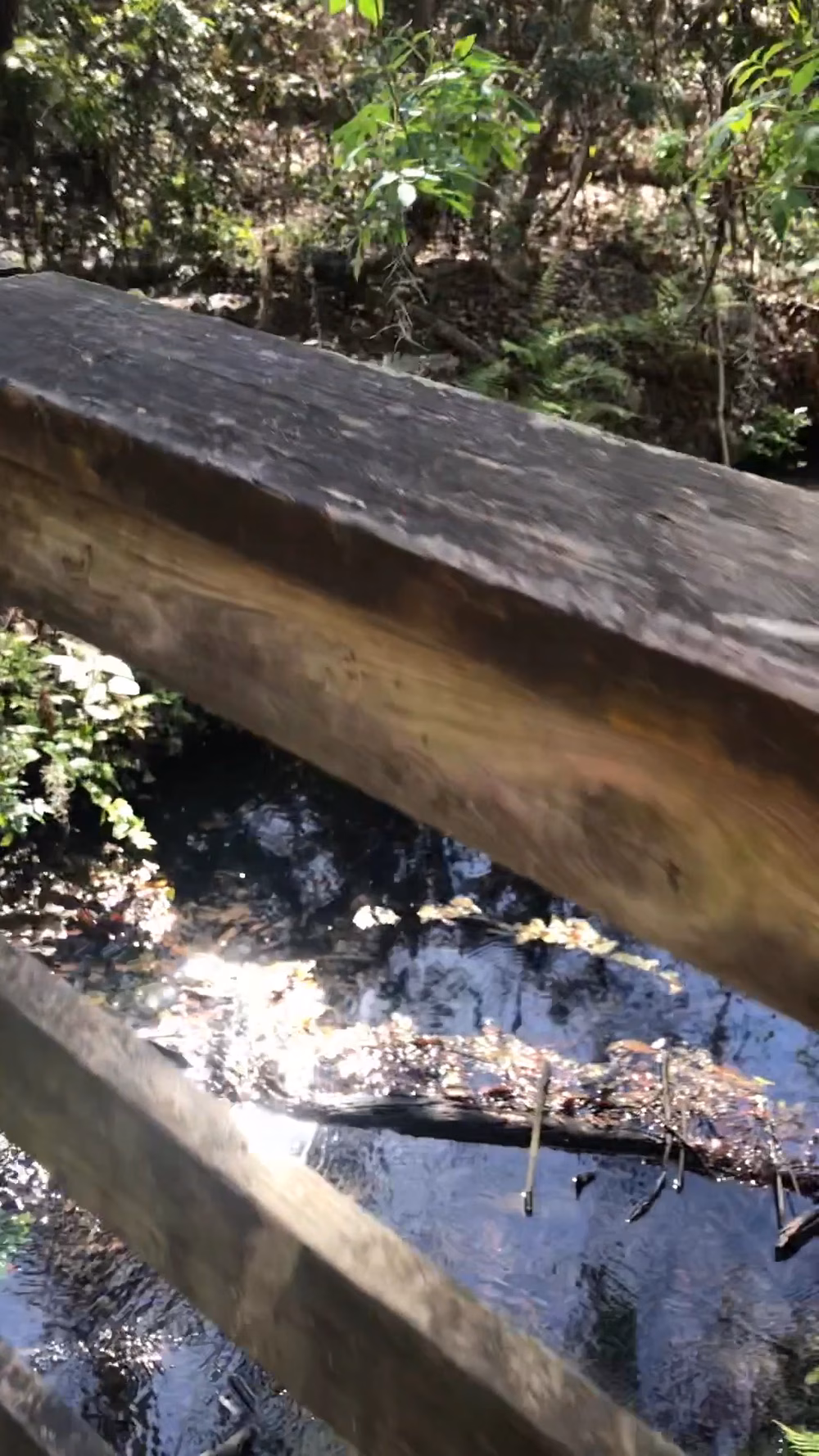 Abess Park - Jacksonville, FL