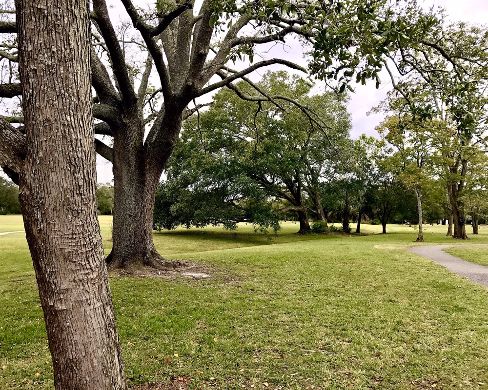 Alexandria Oaks Park - Jacksonville, FL