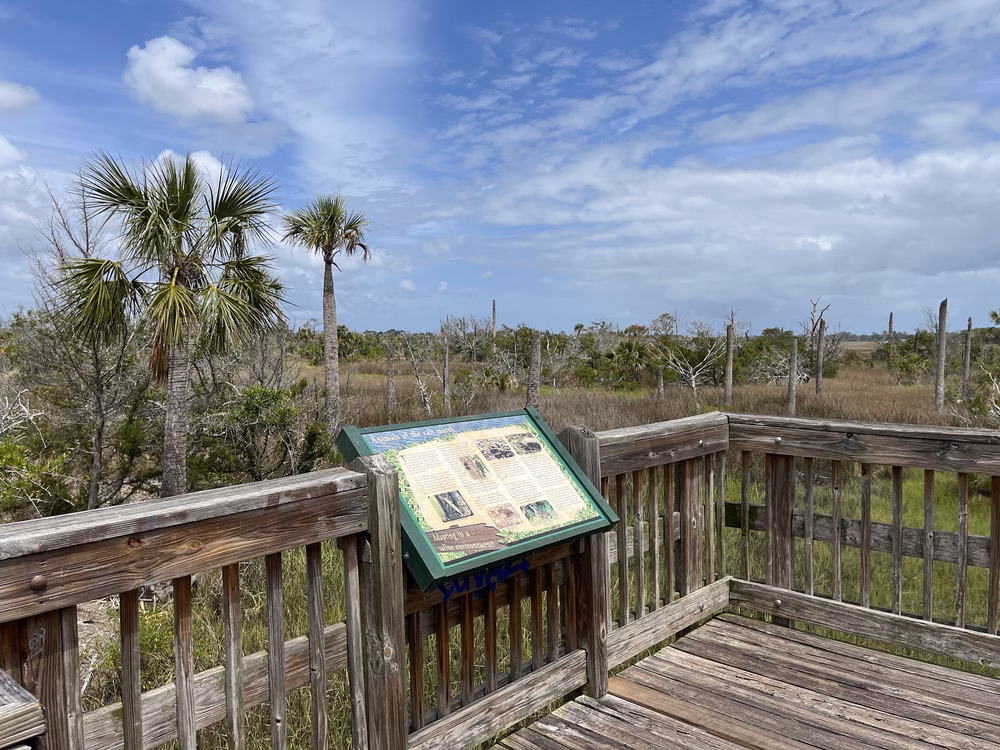 Castaway Island Preserve - Jacksonville, FL