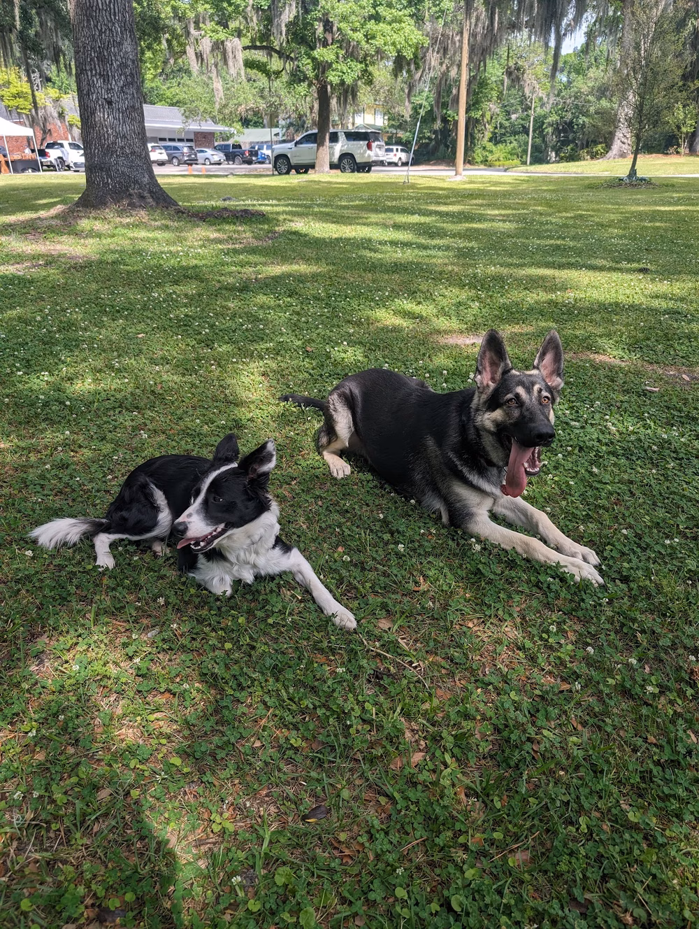Cortez Park - Jacksonville, FL