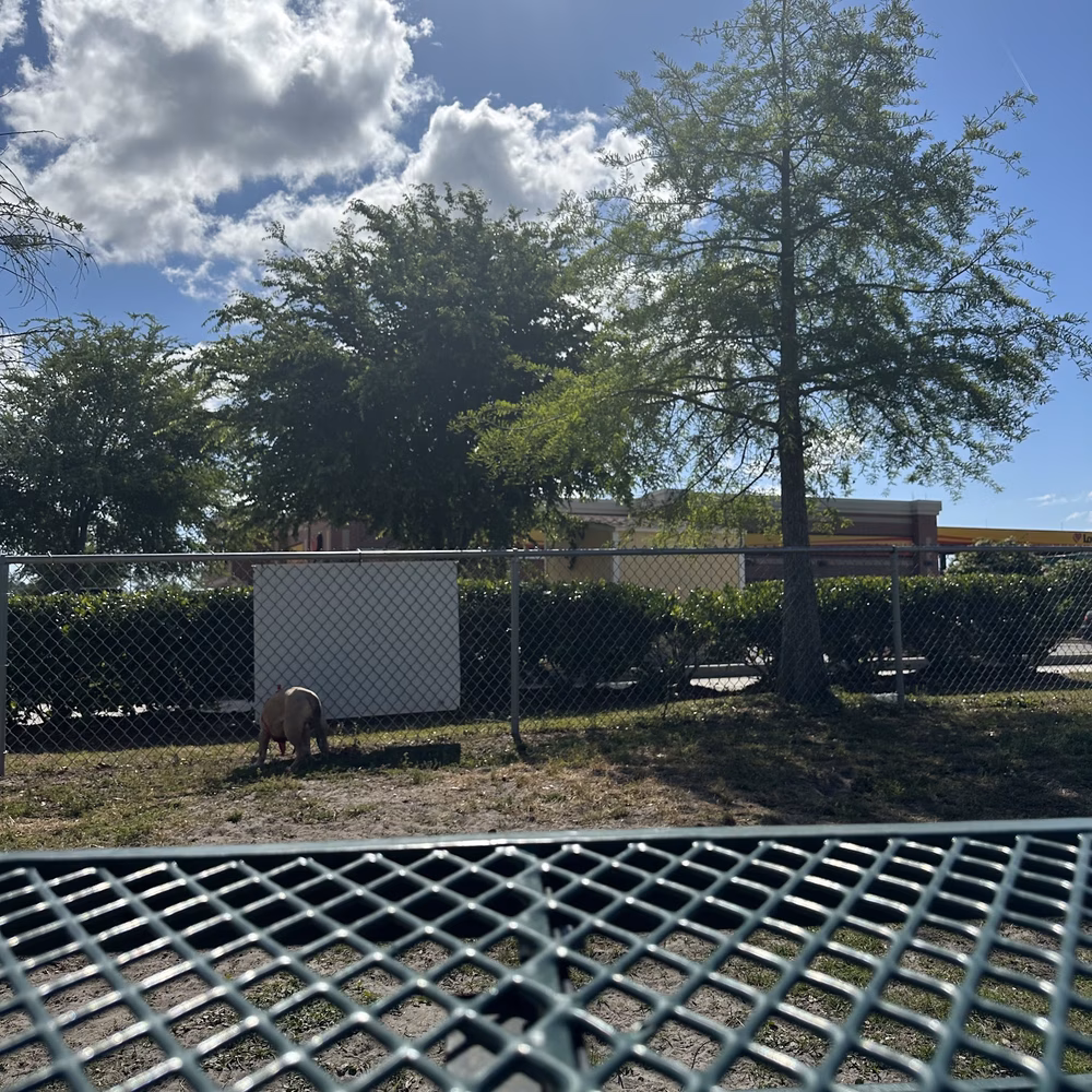 Dog Park at Love’s Travel Stops - Jacksonville, FL