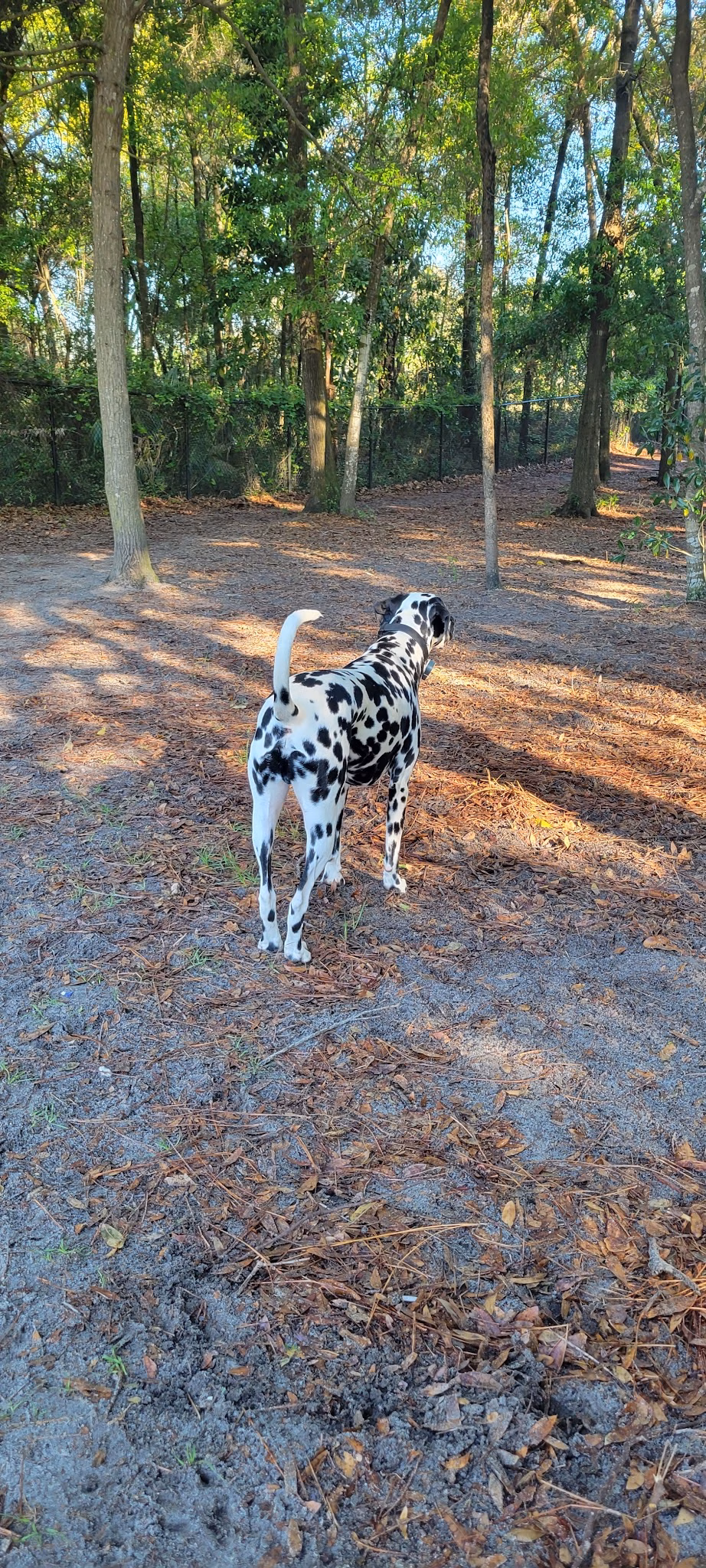 Ed Austin Regional Park - Jacksonville, FL