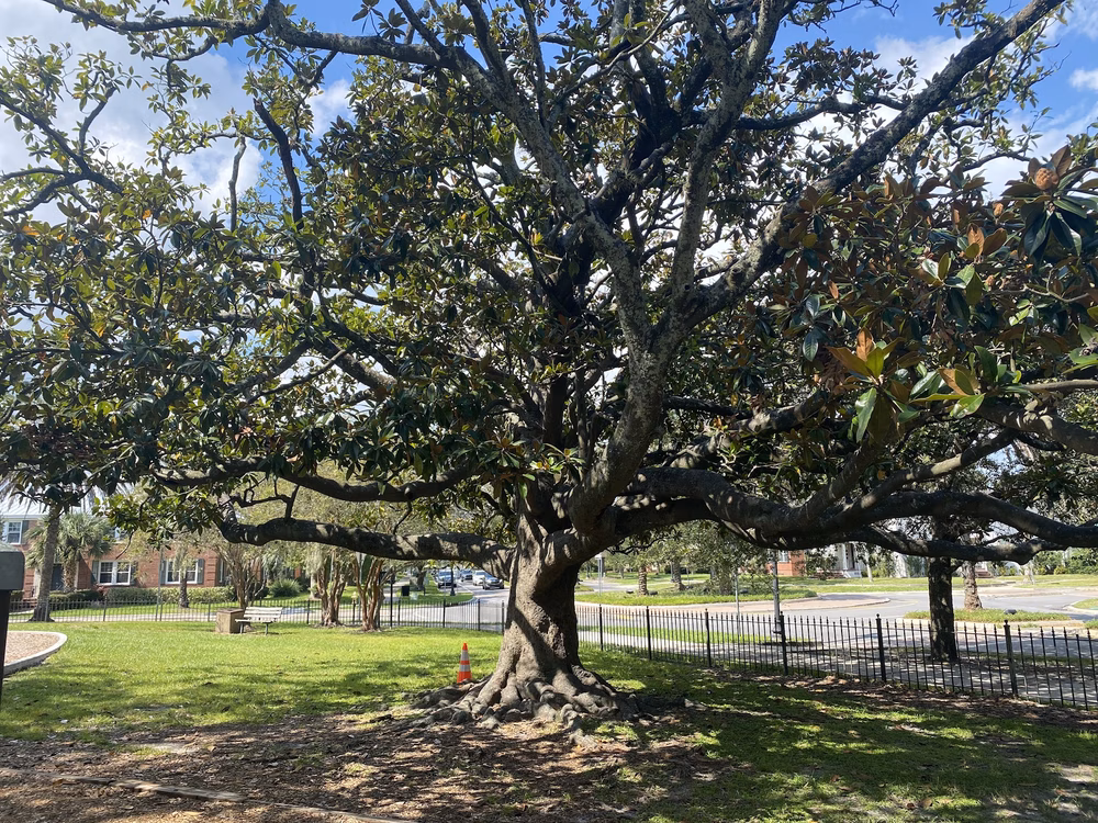 Landon Park - Jacksonville, FL