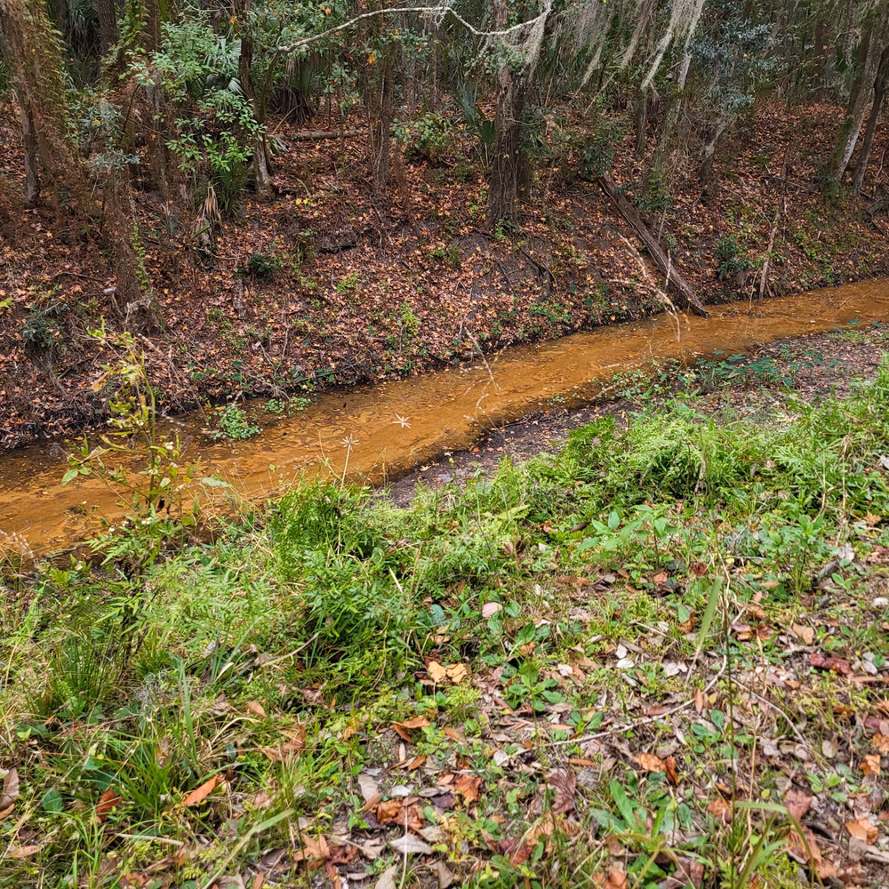 Lovelace Park - Jacksonville, FL