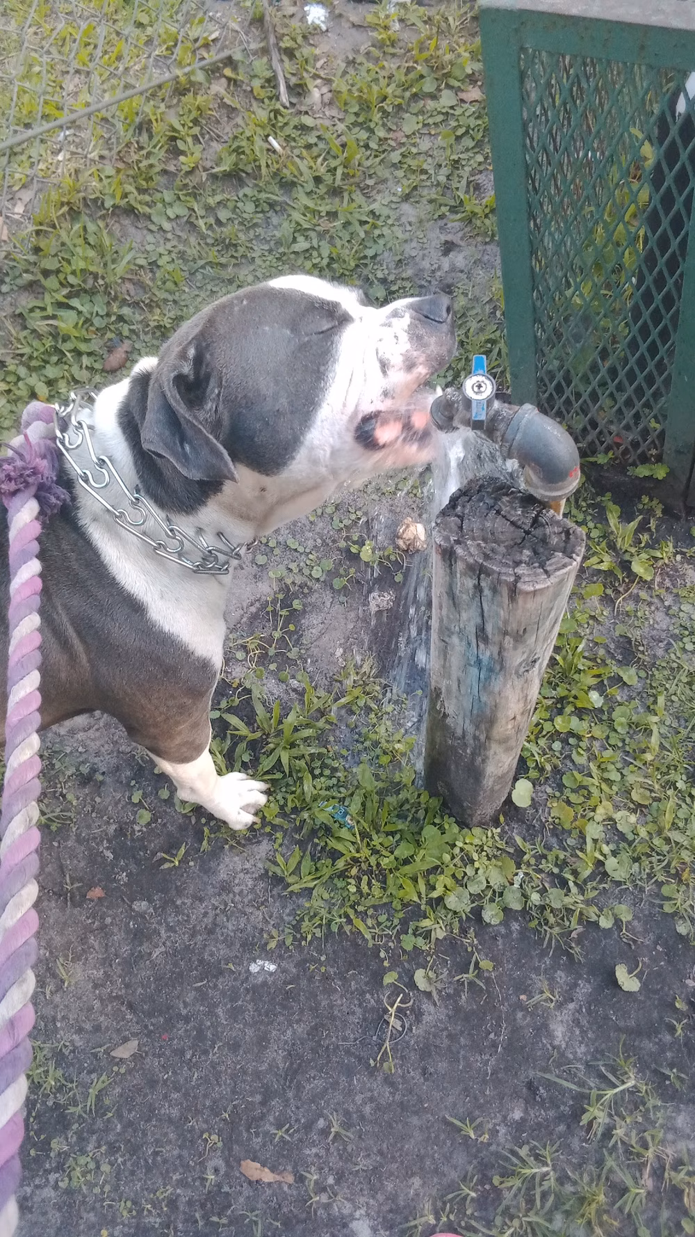 Lynn Park - Jacksonville, FL