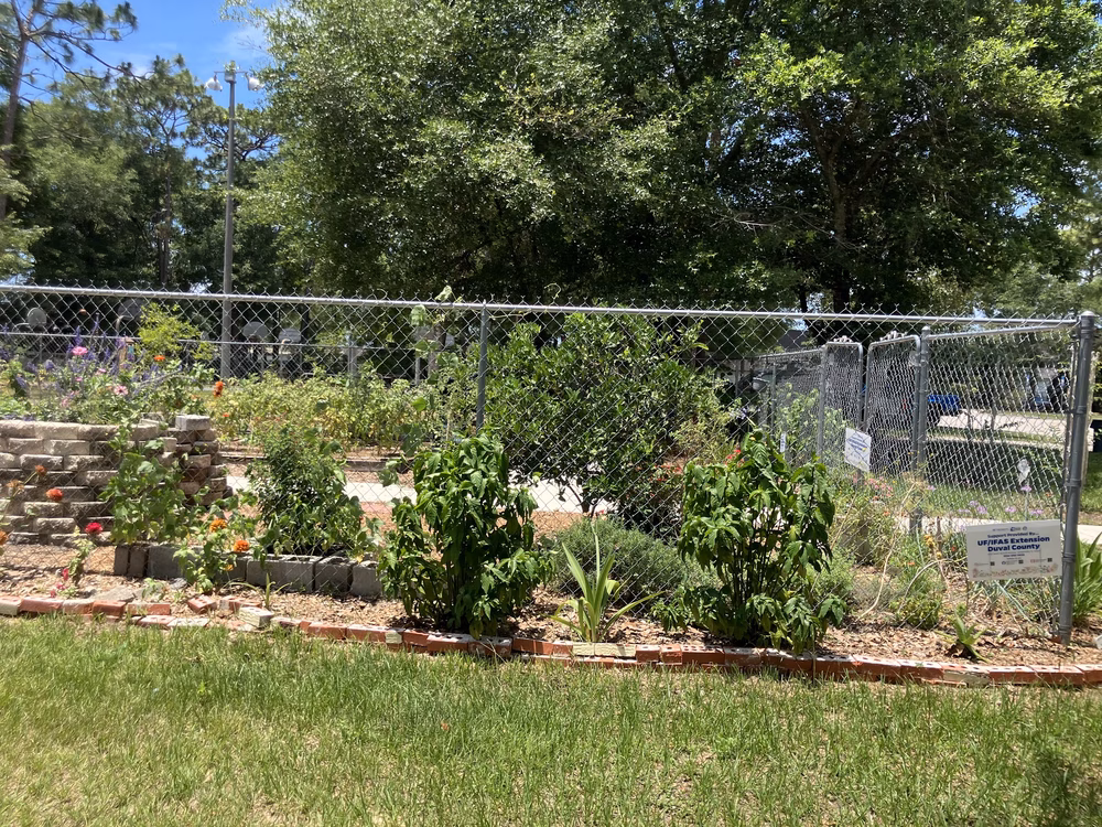 Oceanway Park - Jacksonville, FL