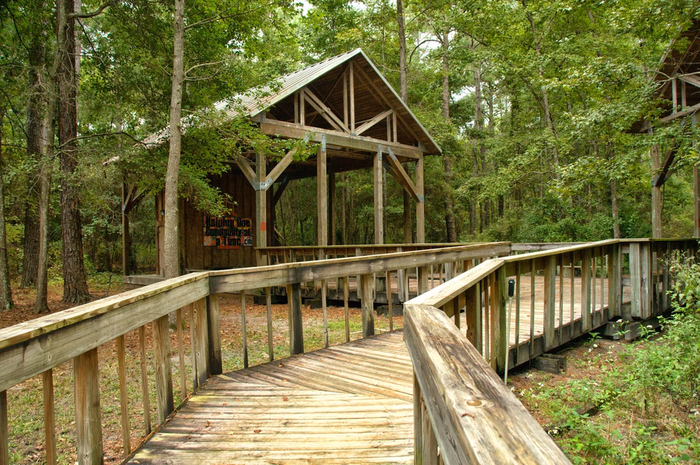 Tillie K. Fowler Regional Park - Jacksonville, FL