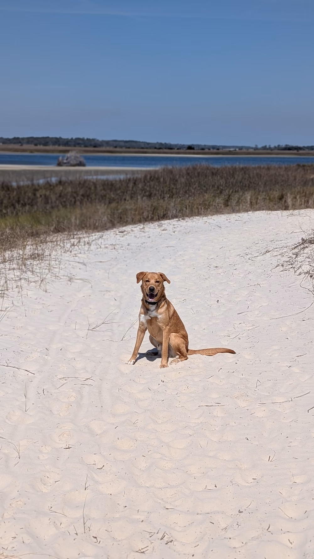 Timucuan Trail Trailhead - Jacksonville, FL