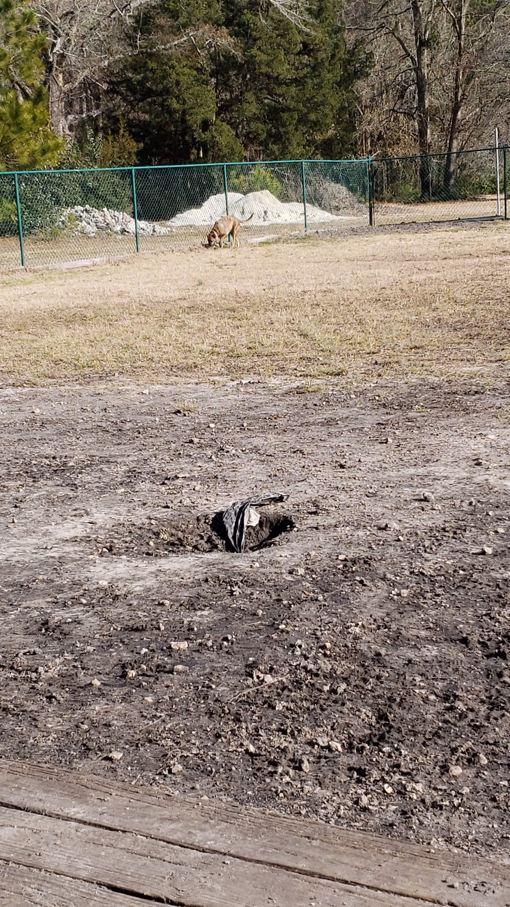 Midway Dog Park #1 - Jacksonville, NC