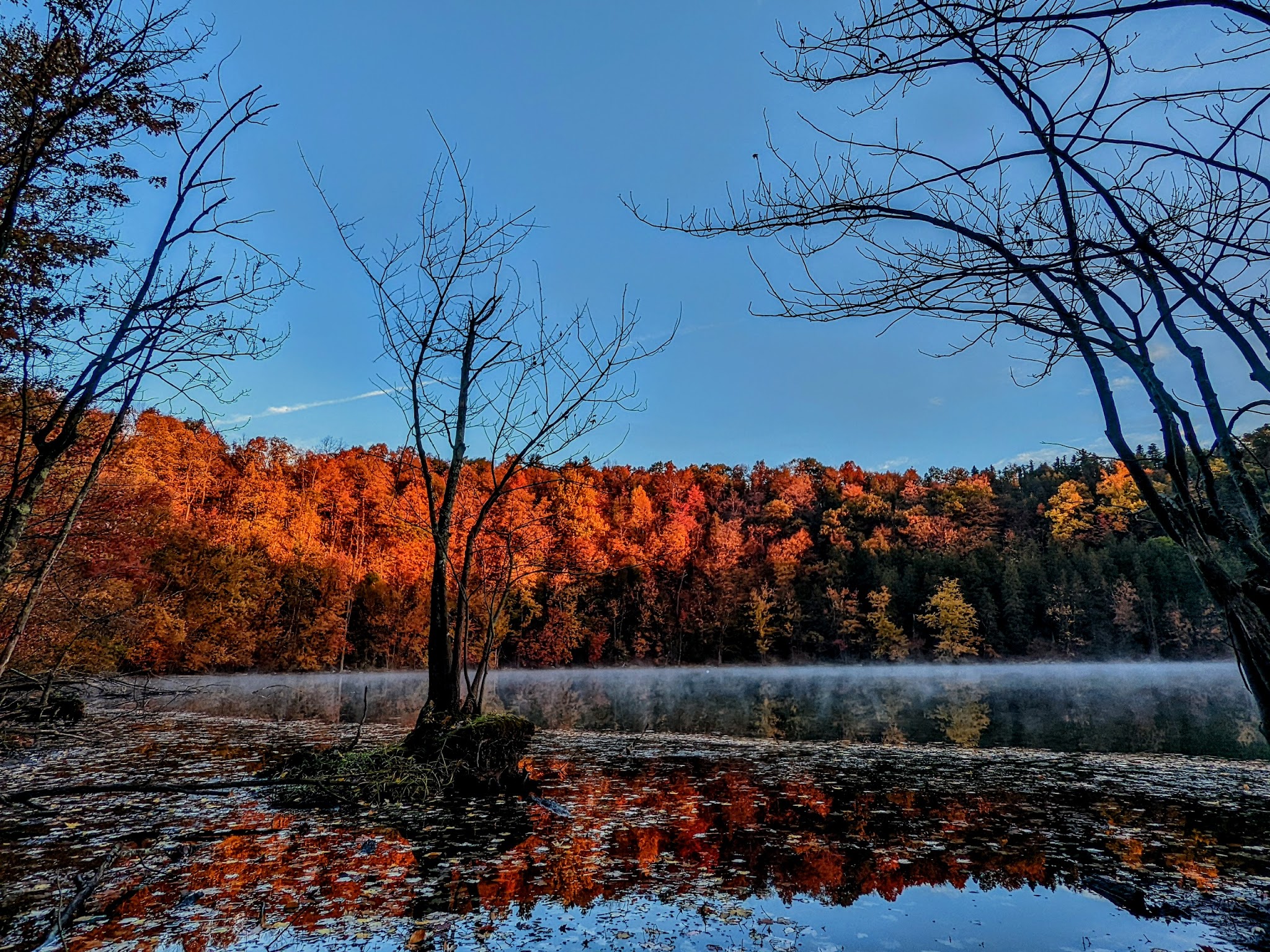 Clark Reservation State Park - Jamesville, NY