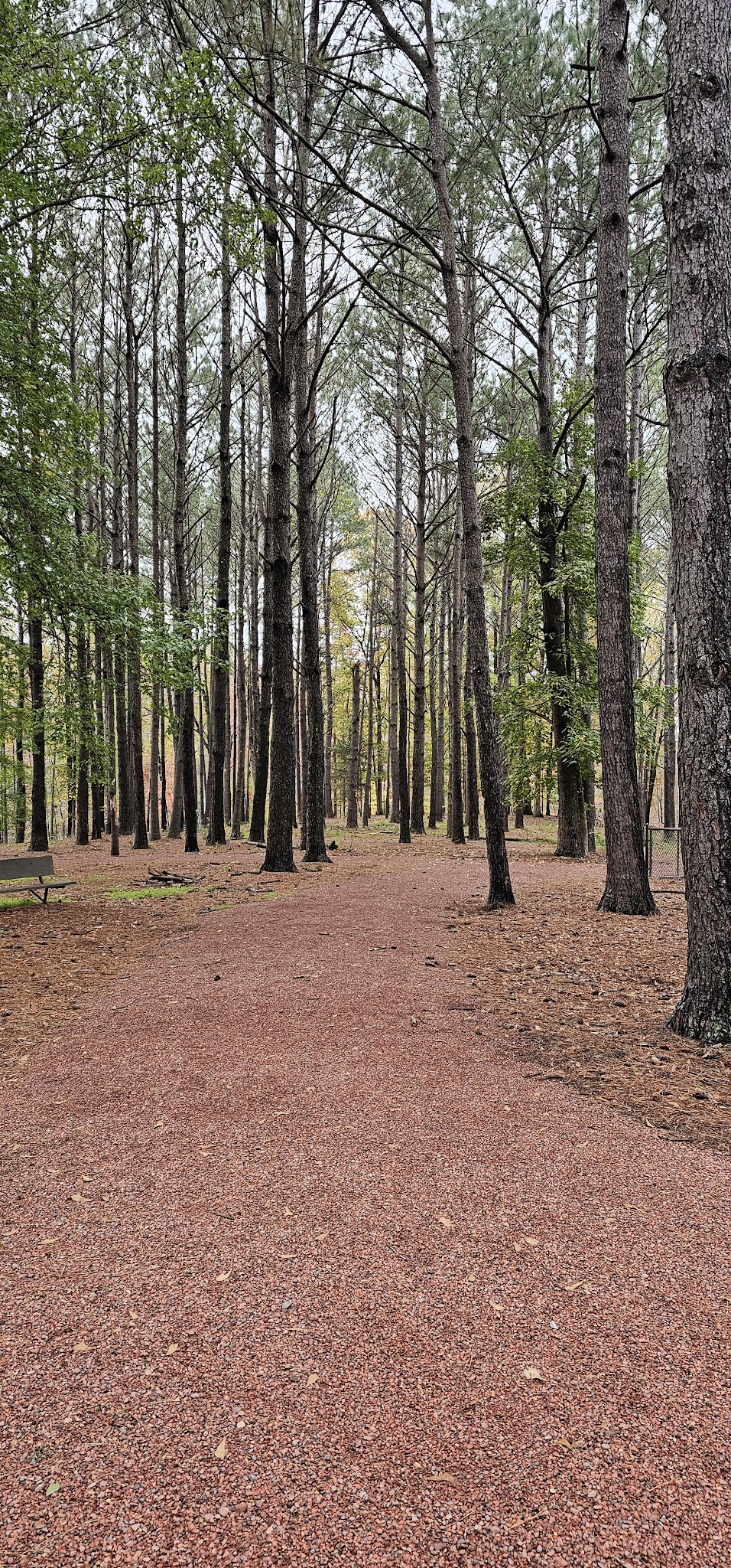 City of Jasper Off Leash dog park - Jasper, AL