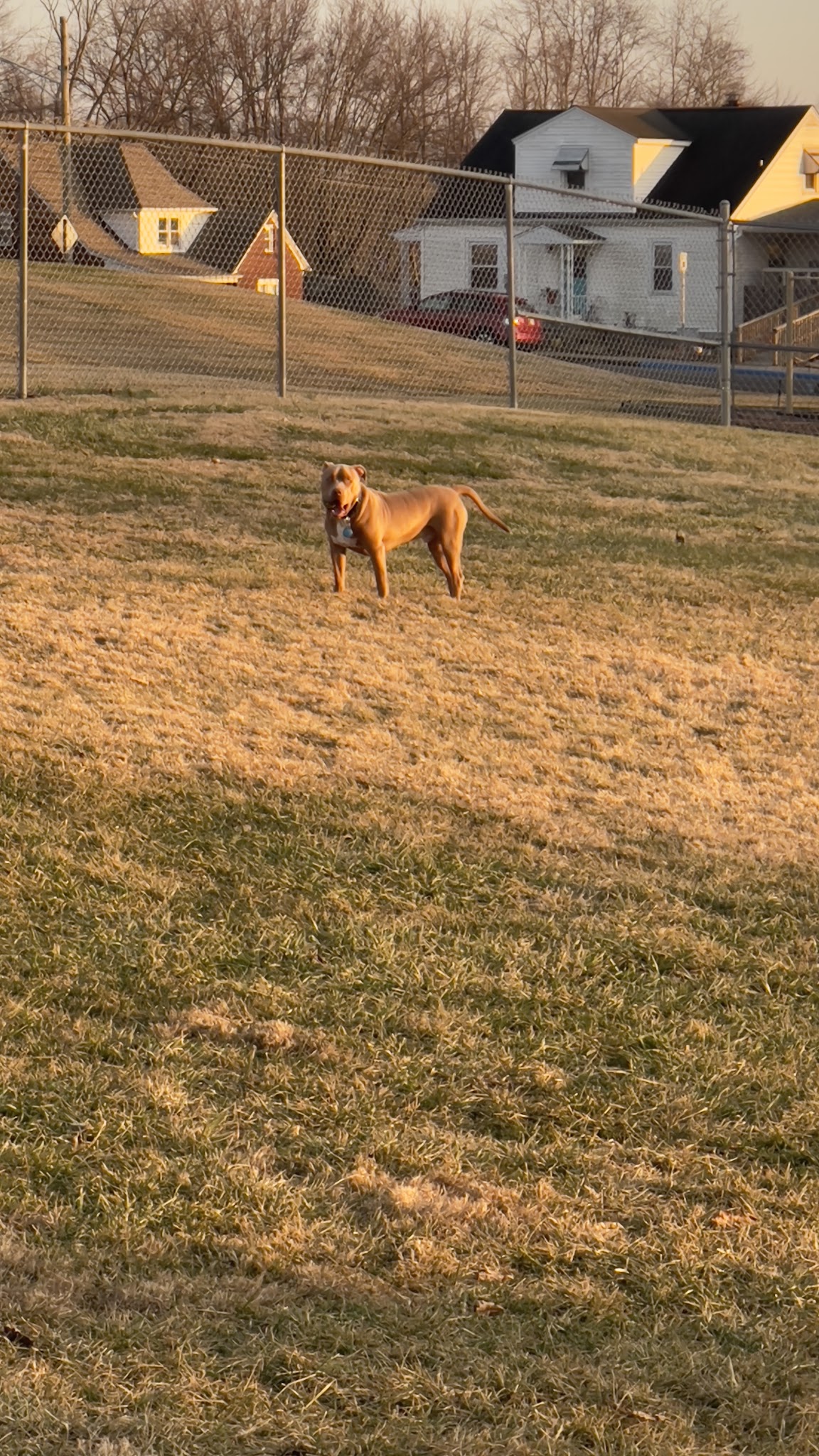 Gutzweiler Park - Jasper, IN