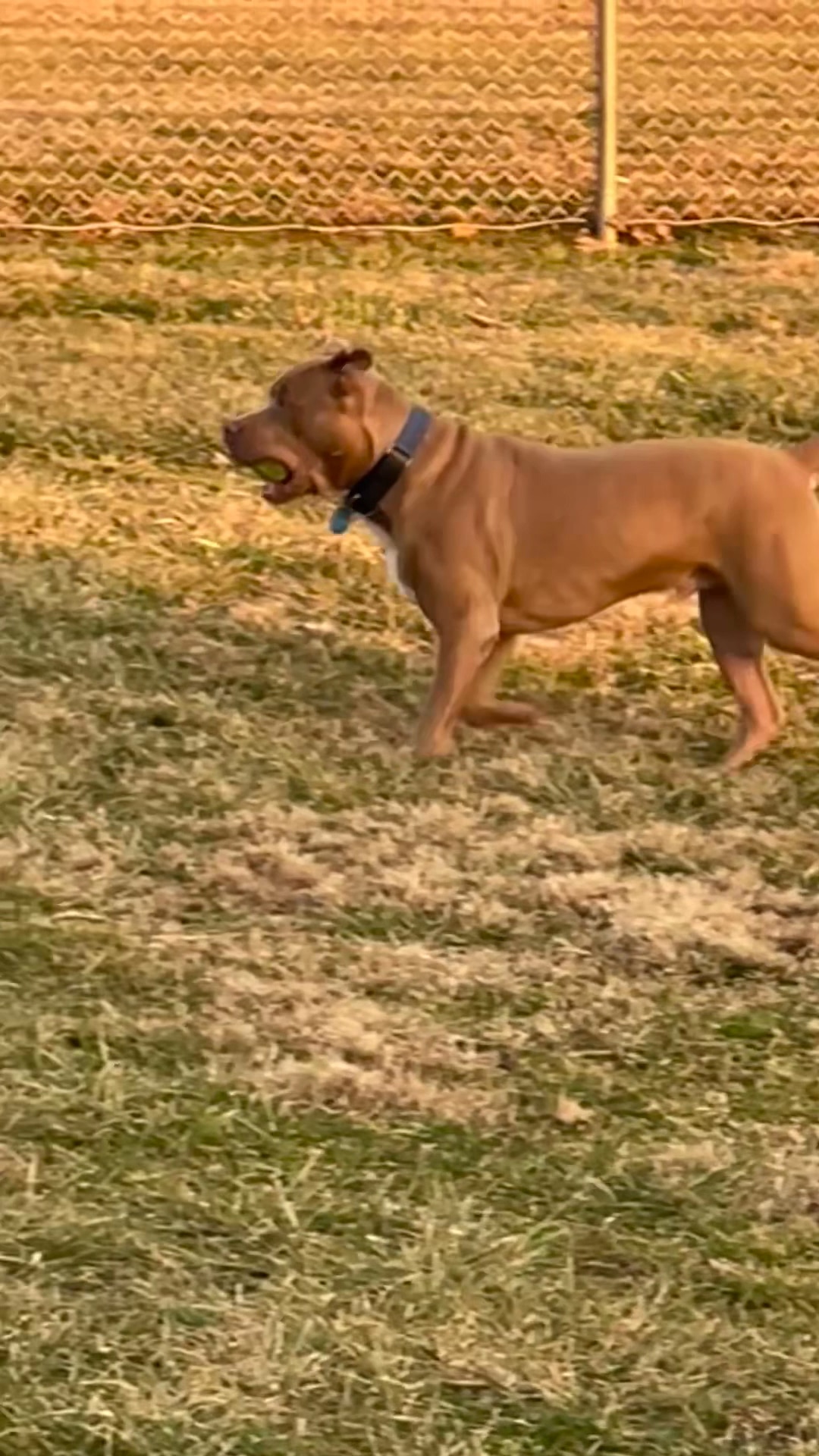 Gutzweiler Park - Jasper, IN