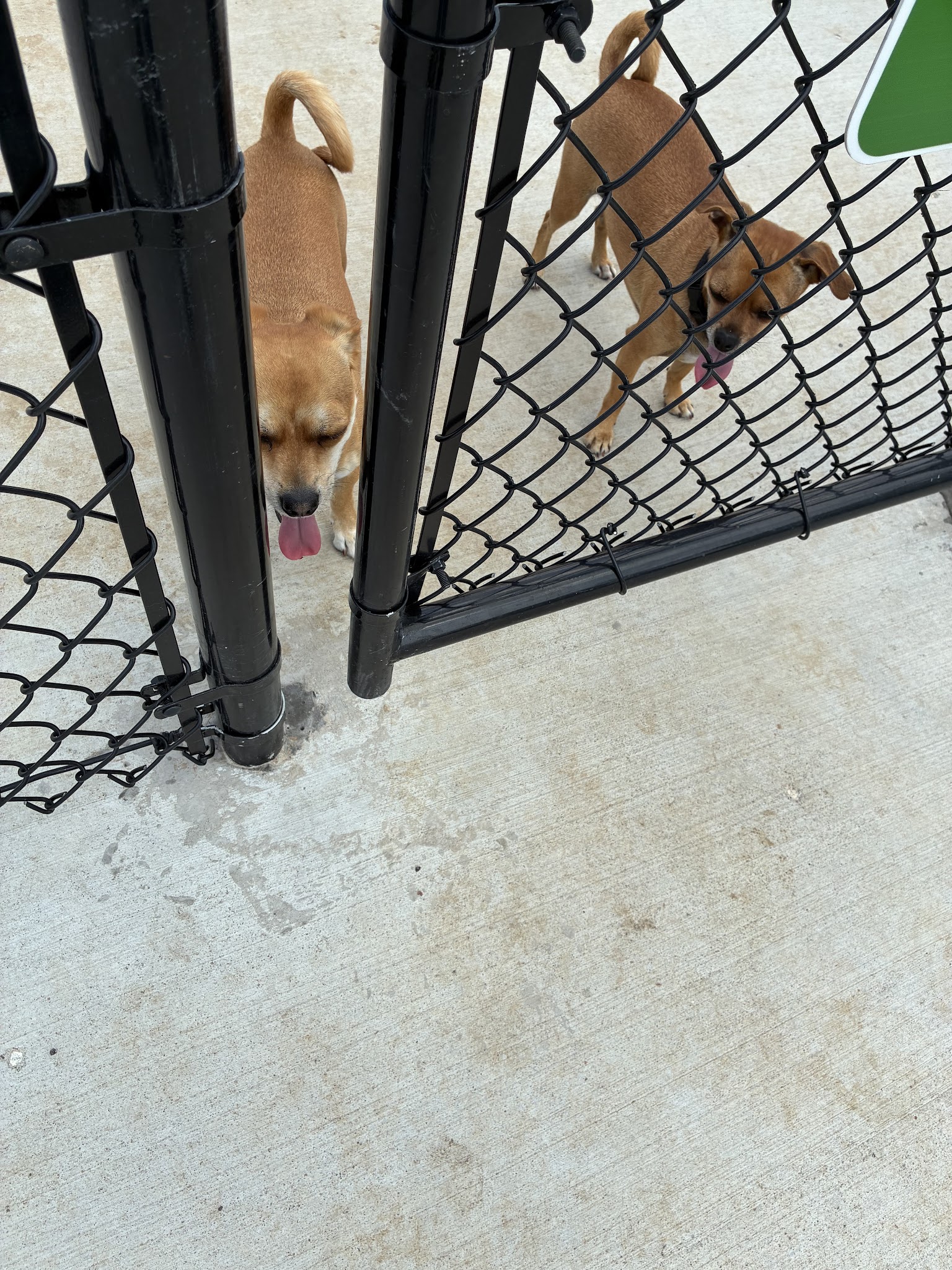 Dog Park at Love's Travel Stops - Jasper, MO