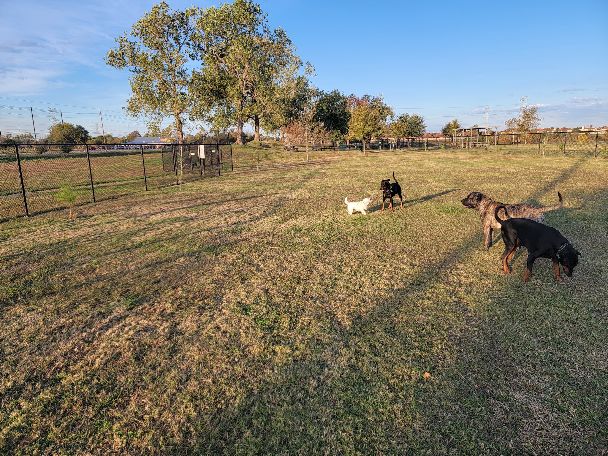 Jersey Village Dog Park - Jersey Village, TX
