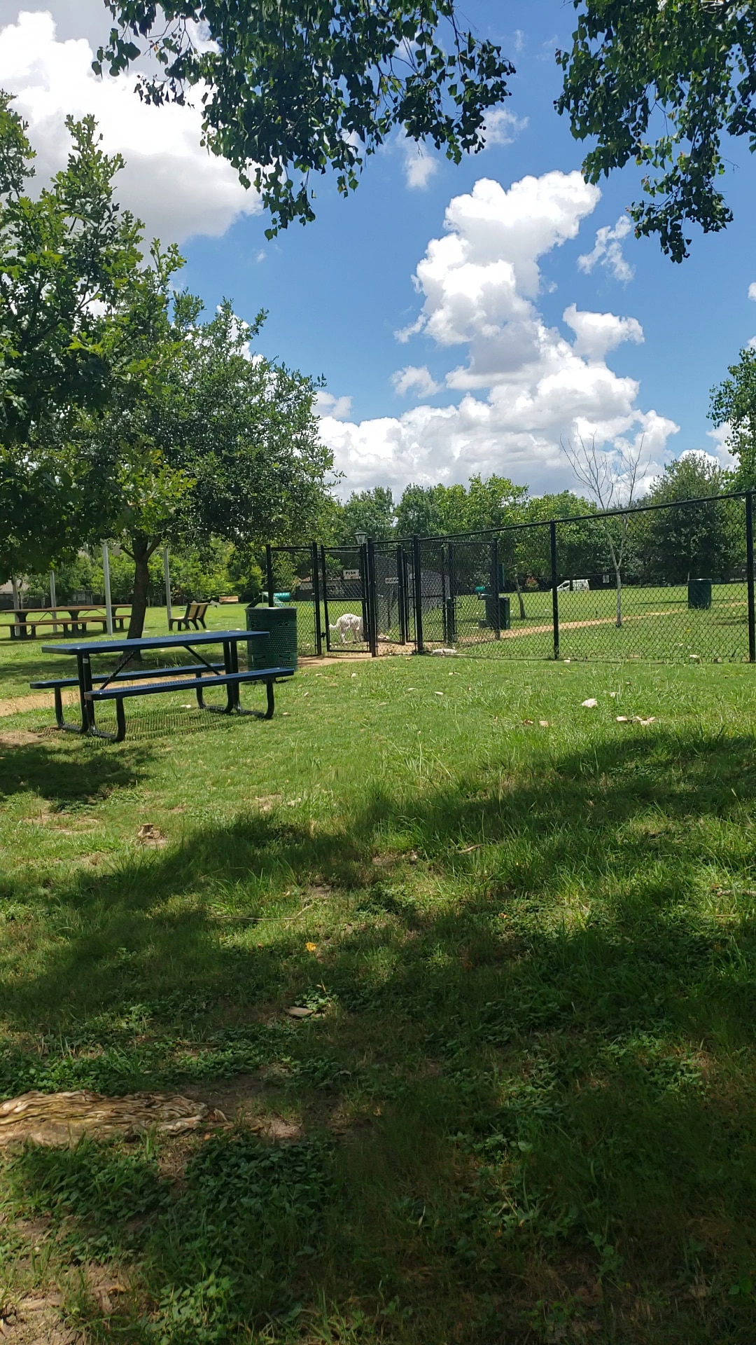 Jersey Village Dog Park - Jersey Village, TX