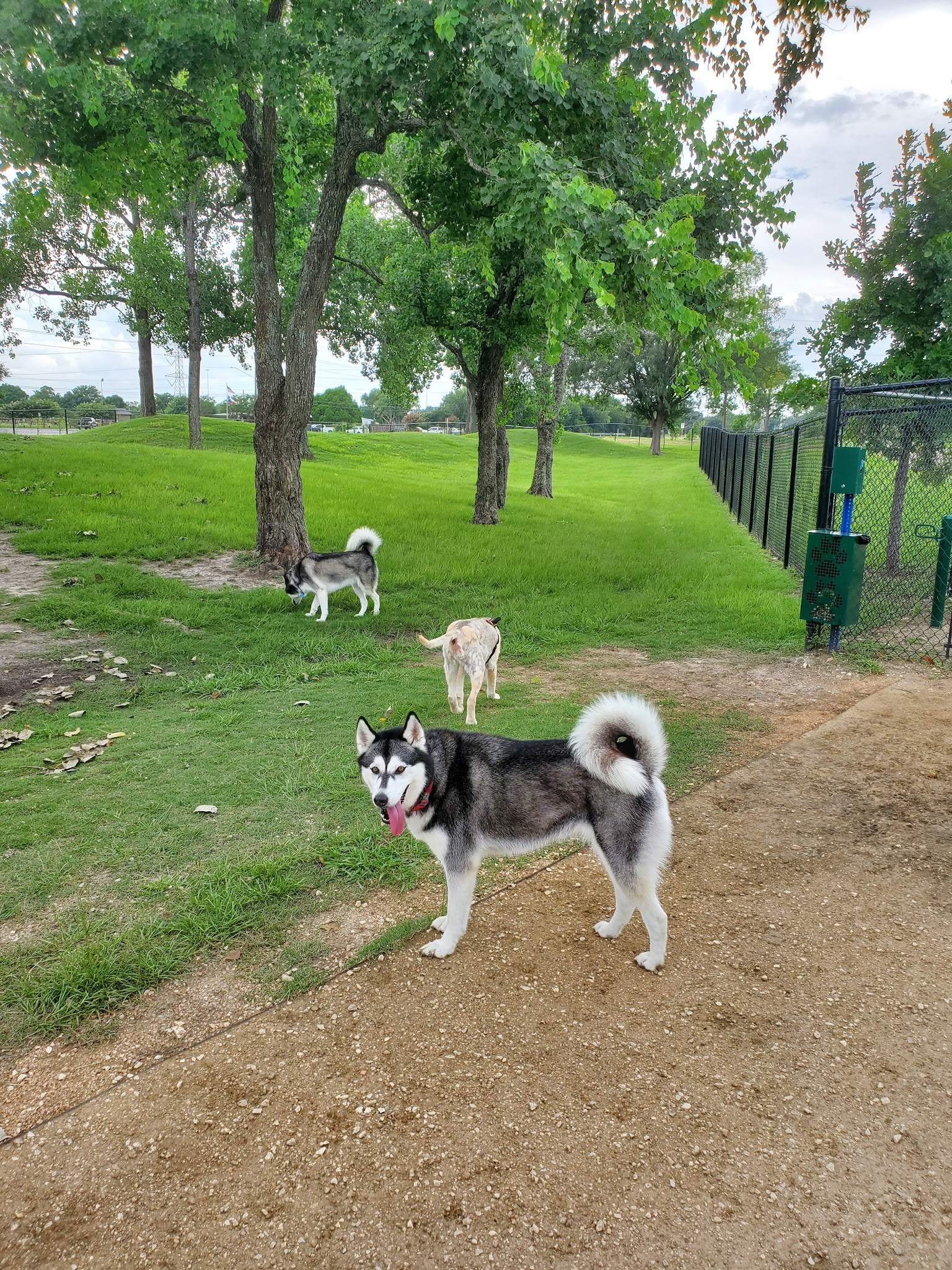 Jersey Village Dog Park - Jersey Village, TX