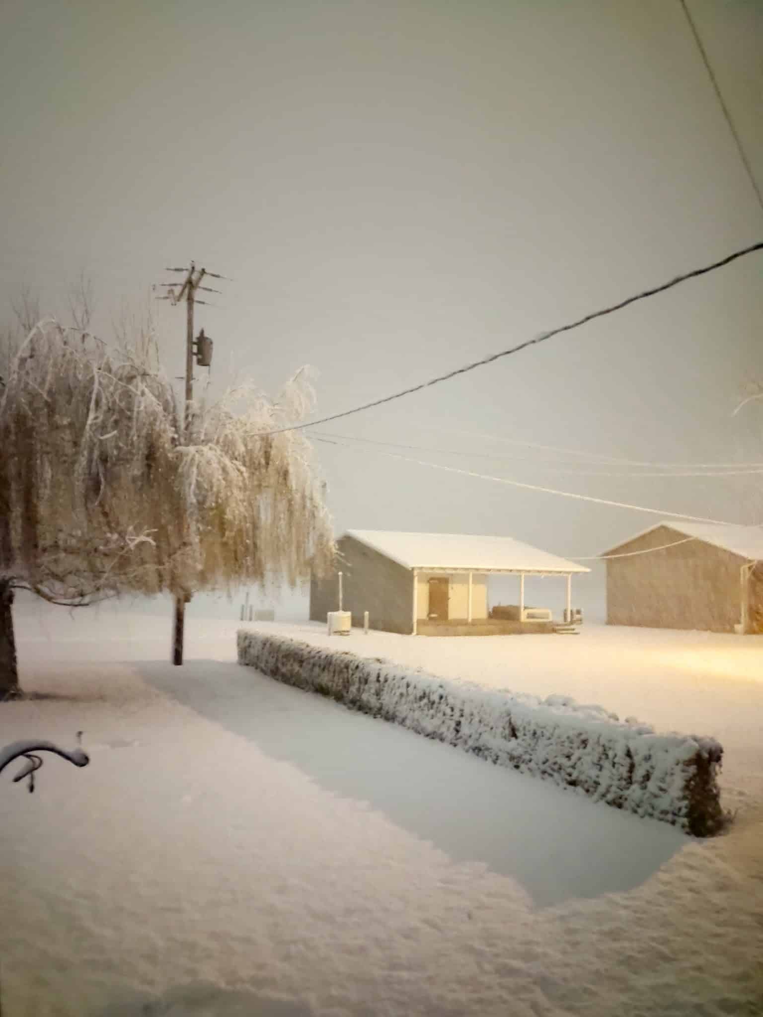 Junction City - Junction City, OR