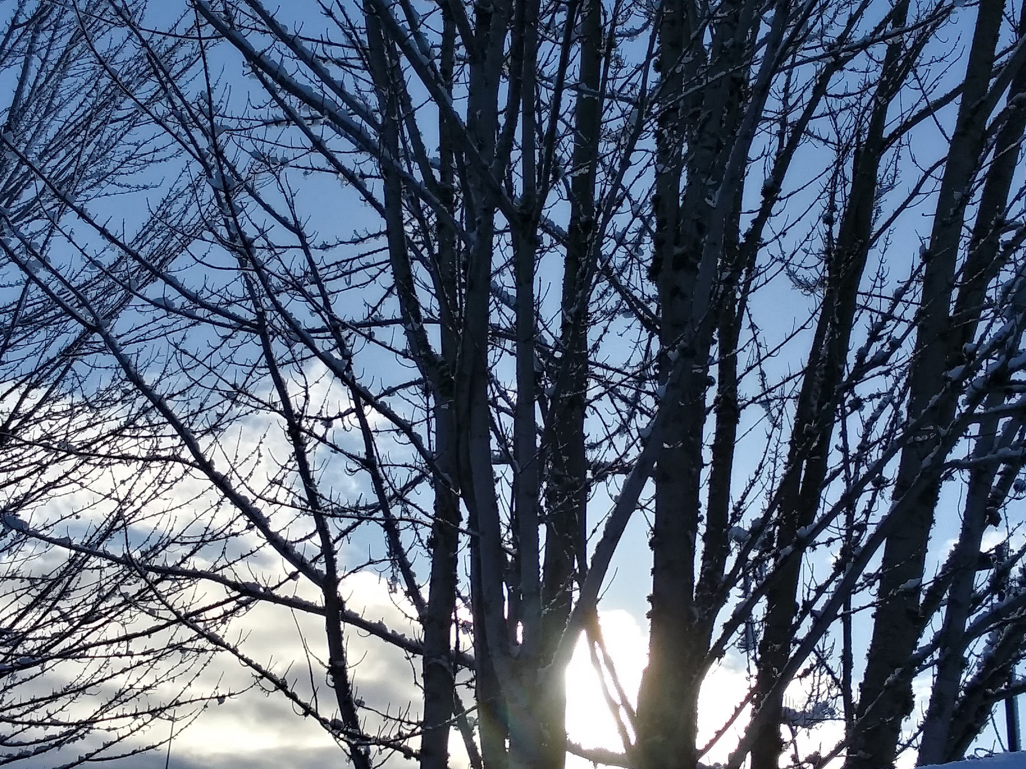 Junction City - Junction City, OR