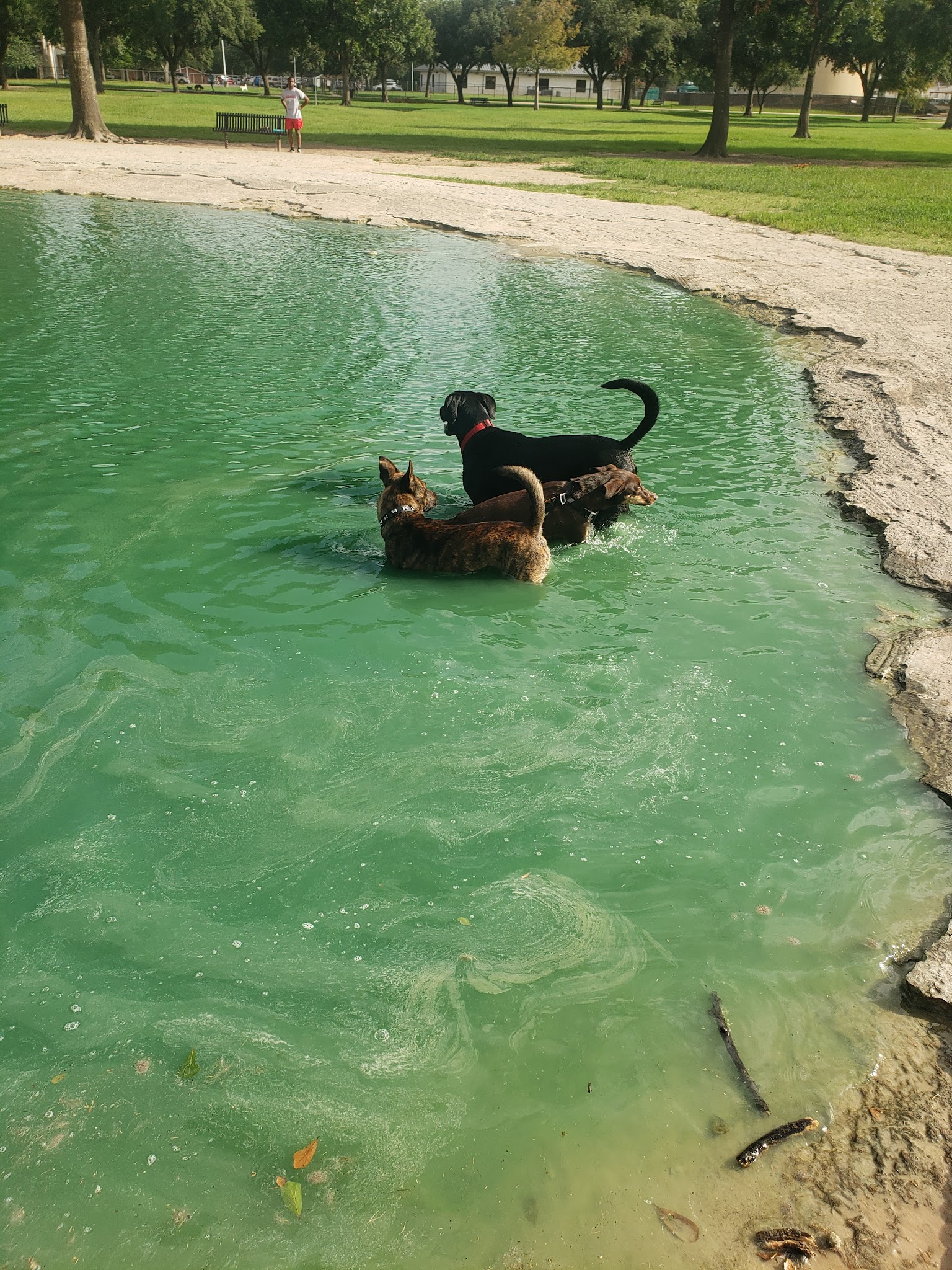 City of Katy Off-Leash Dog Park - Katy, TX