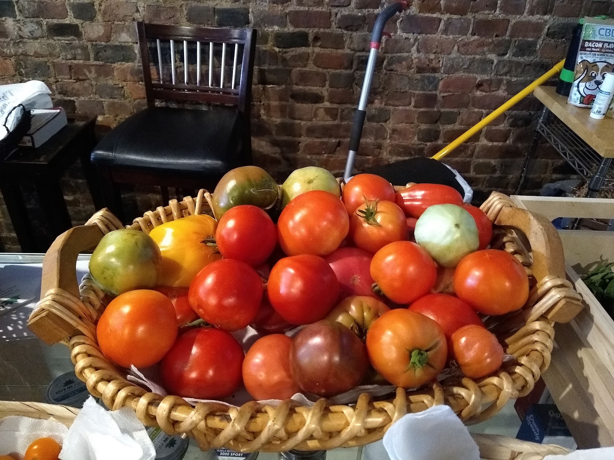 Down 2 Earth Wellness - Keyport, NJ