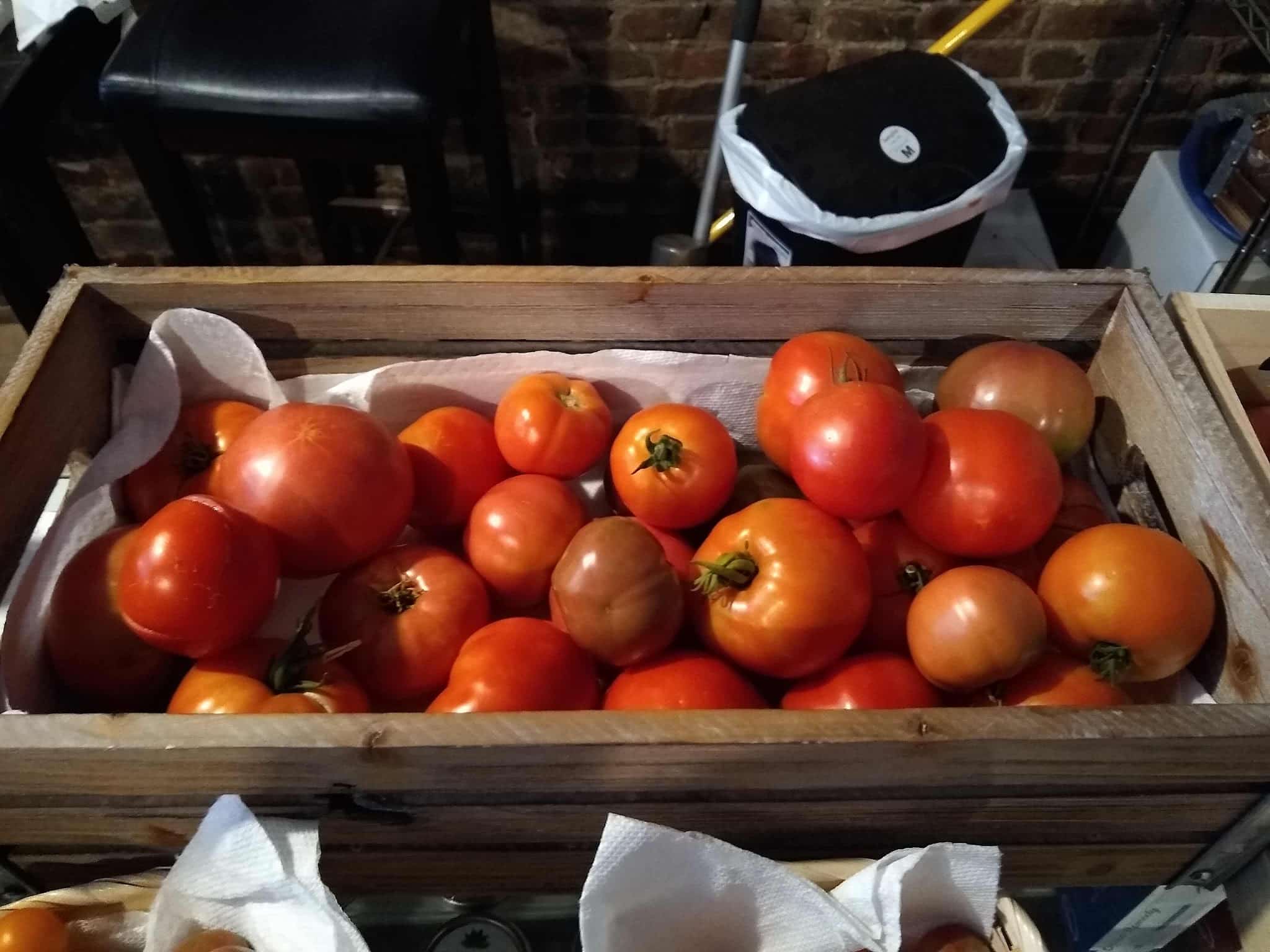 Down 2 Earth Wellness - Keyport, NJ