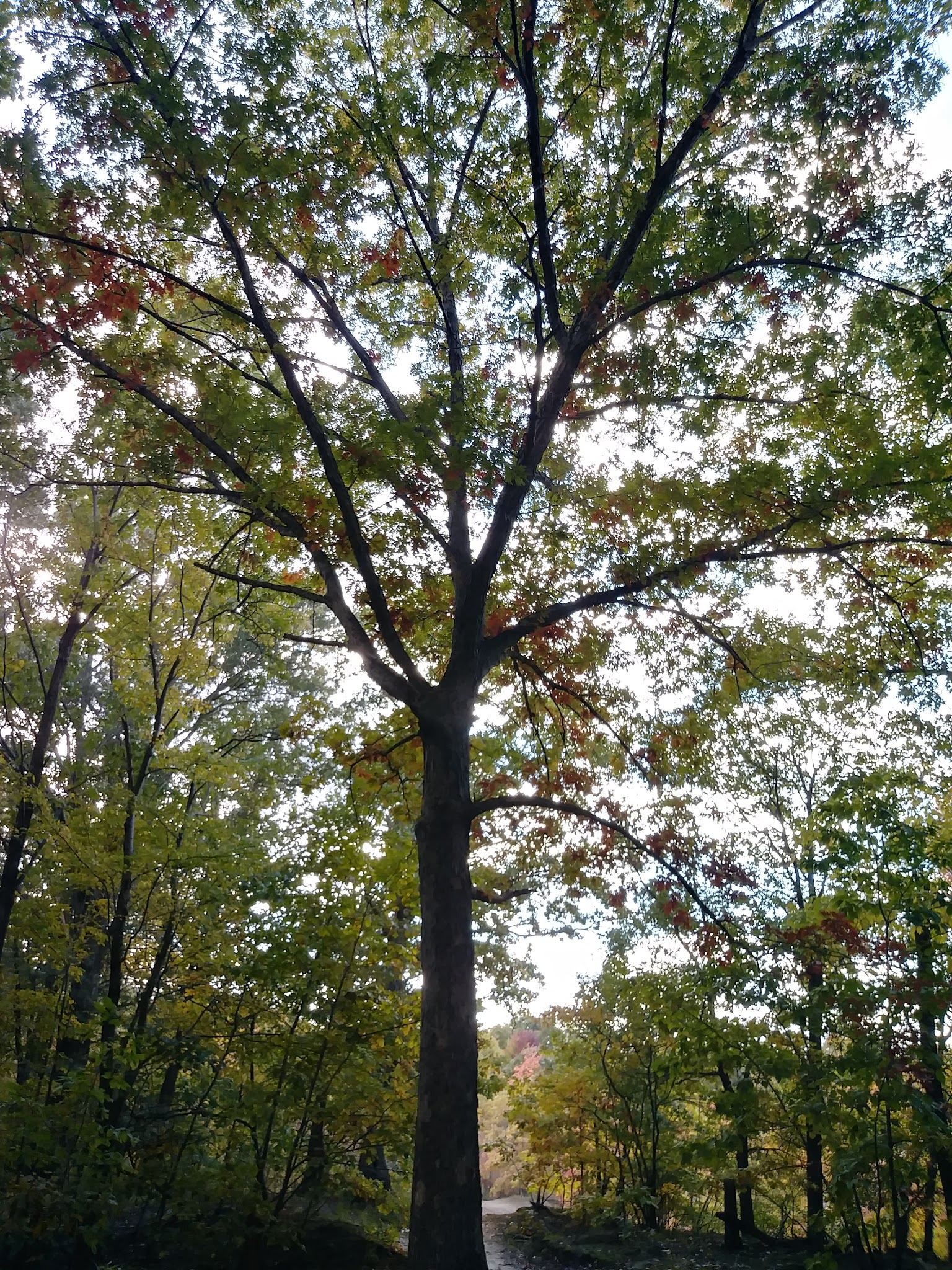 Ross Field - Keyport, NJ