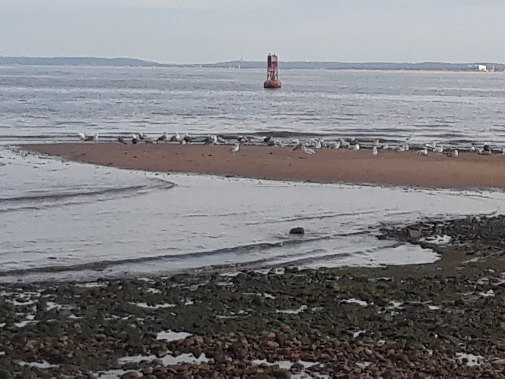 Therese Ave. Park - Keyport, NJ