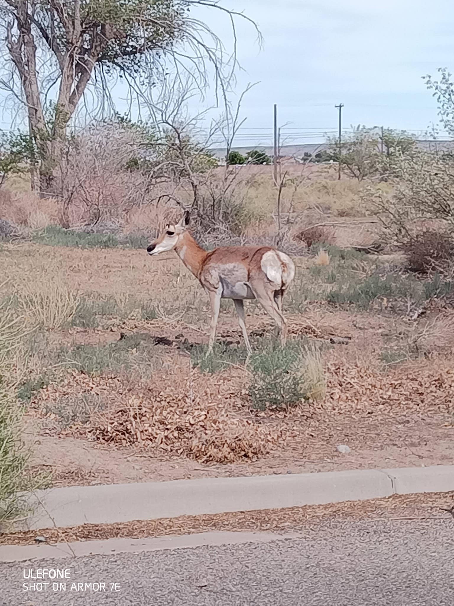 Kirtland Town Park - Kirtland, NM