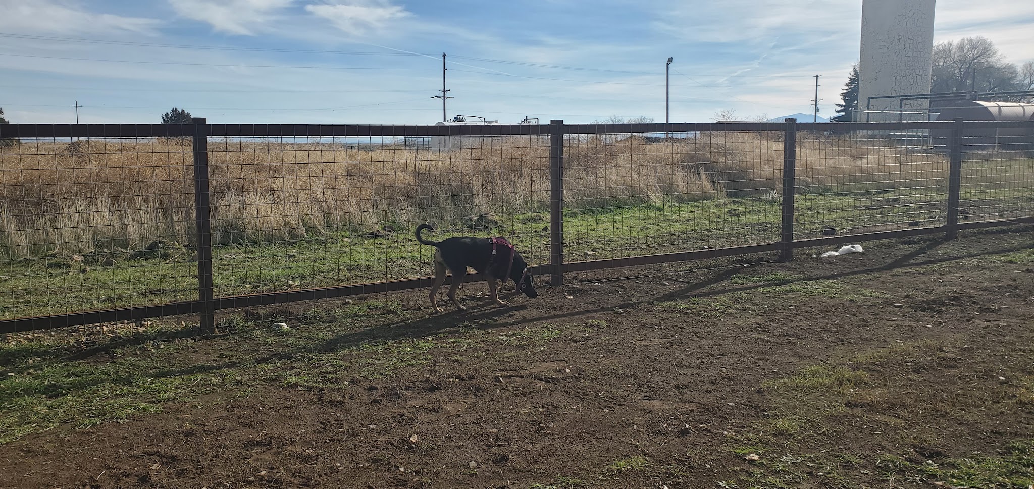 Sinclair's Dino-Dog Park - Klamath Falls, OR