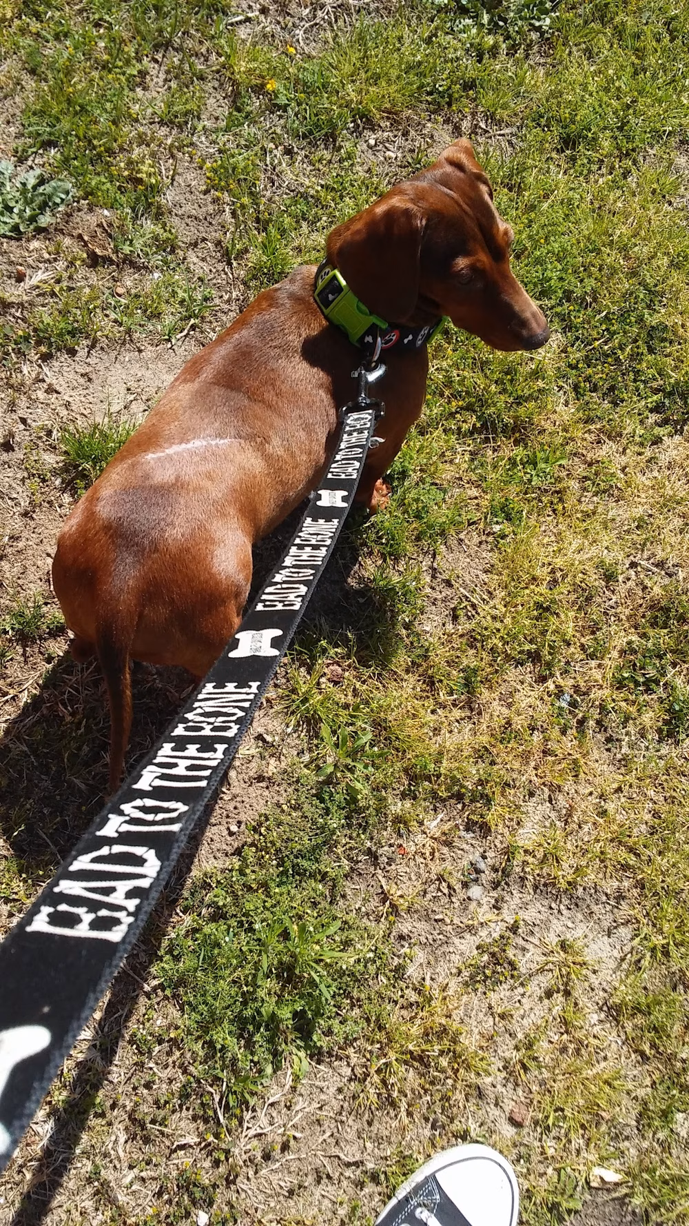 Splash Park - La Grange, NC