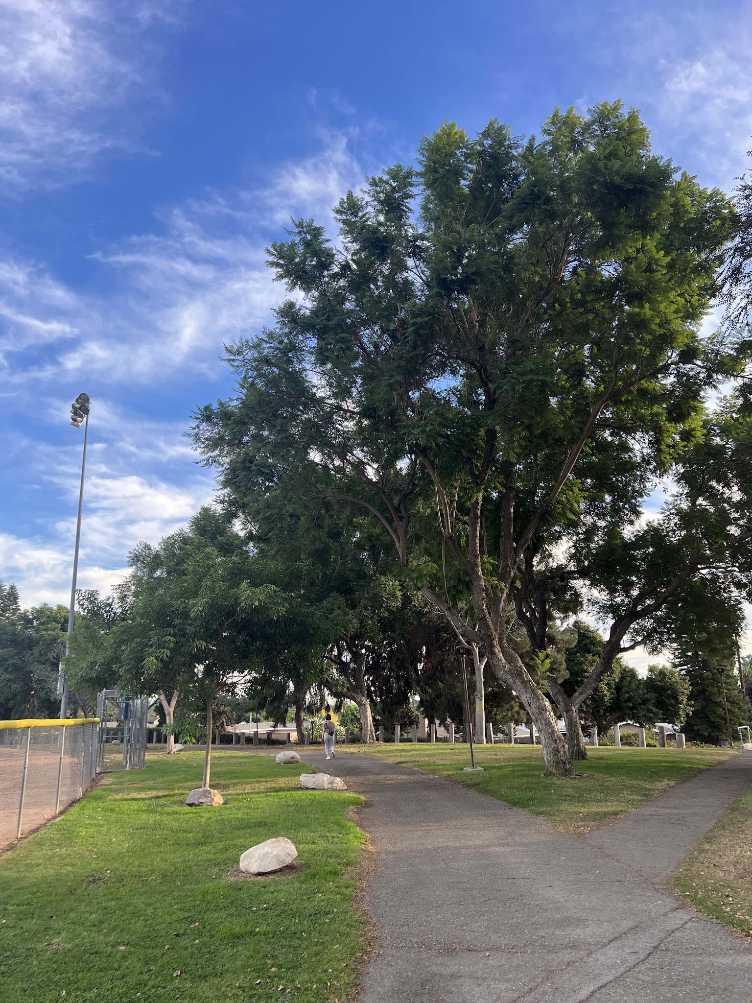 Esteli Park - La Habra, CA