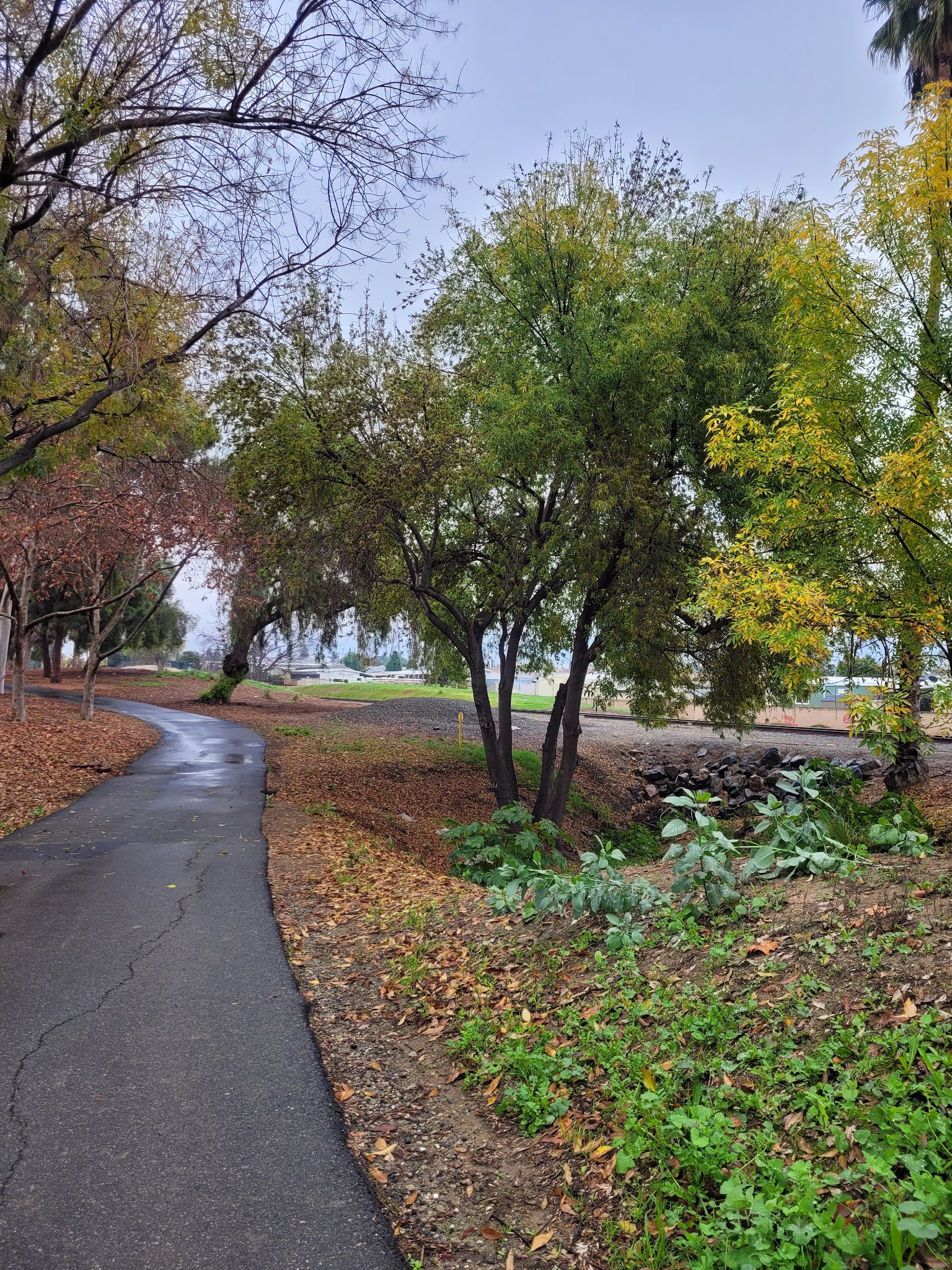 Guadalupe Park - La Habra, CA