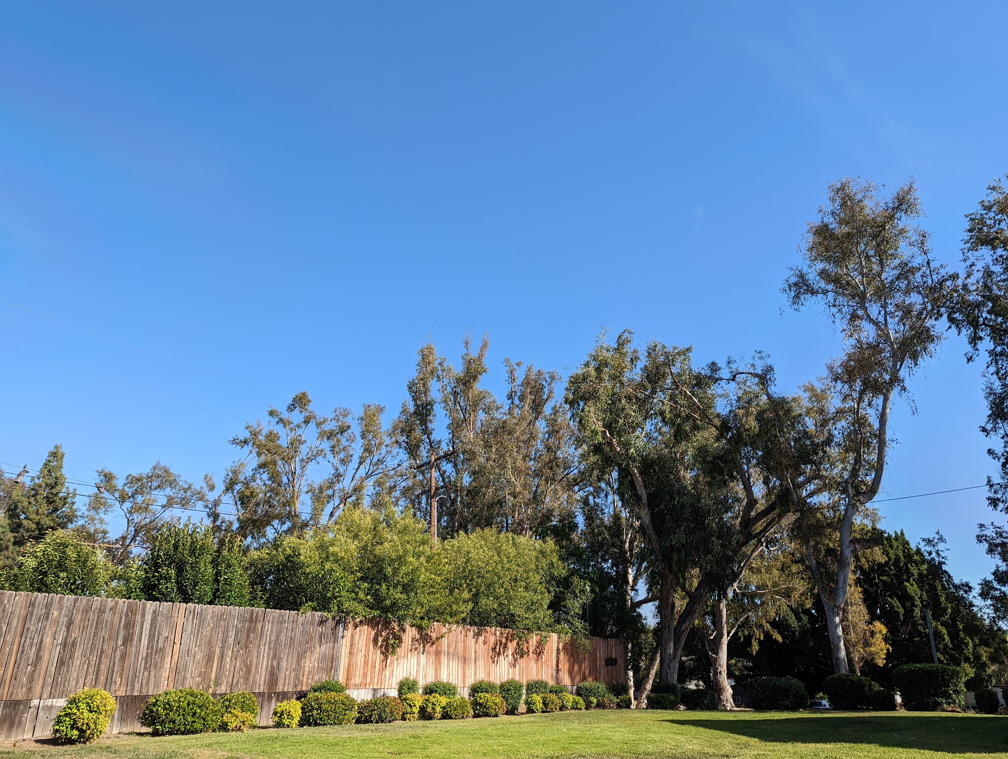 Guadalupe Park - La Habra, CA