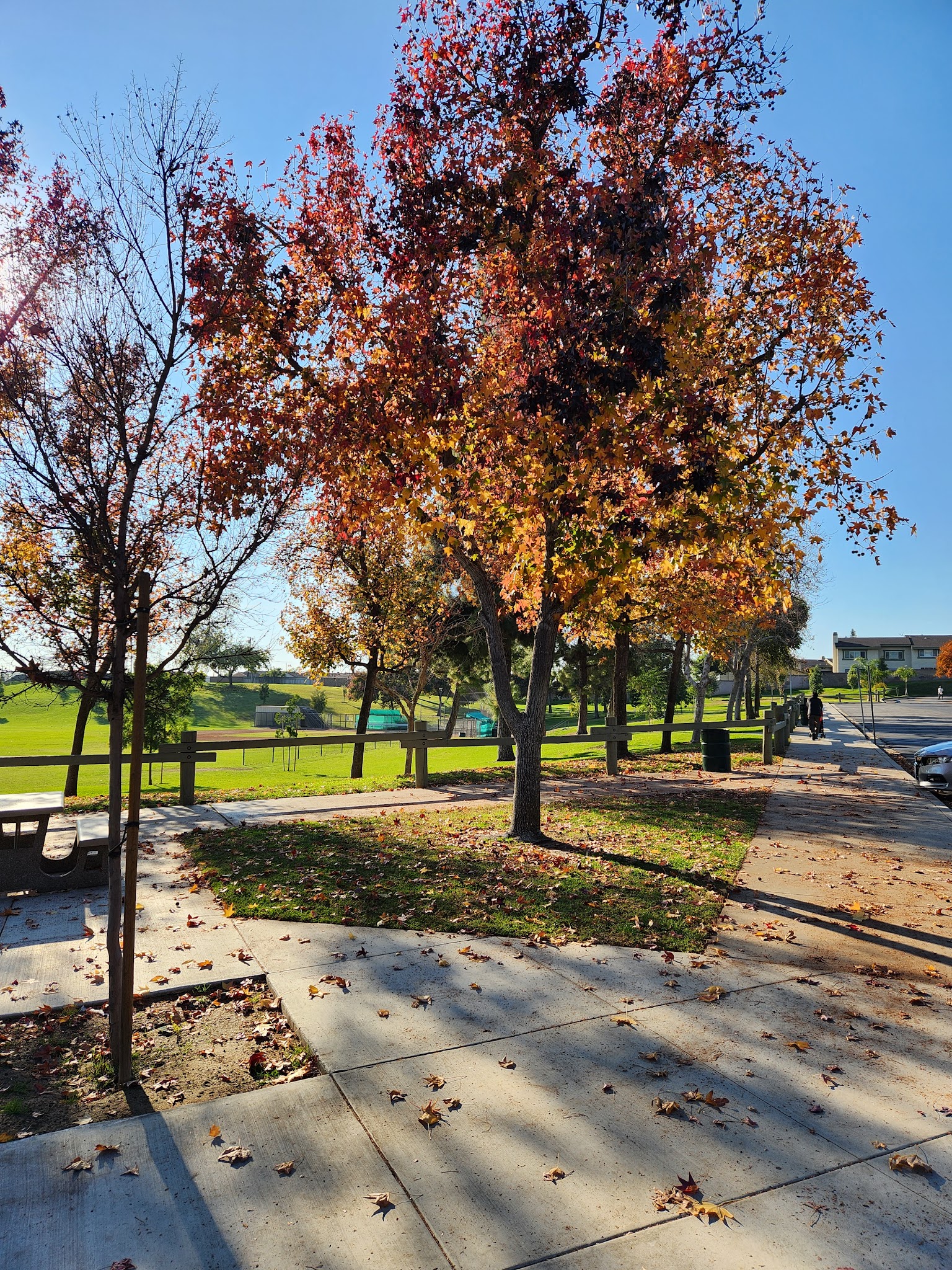 Behringer Park - La Mirada, CA
