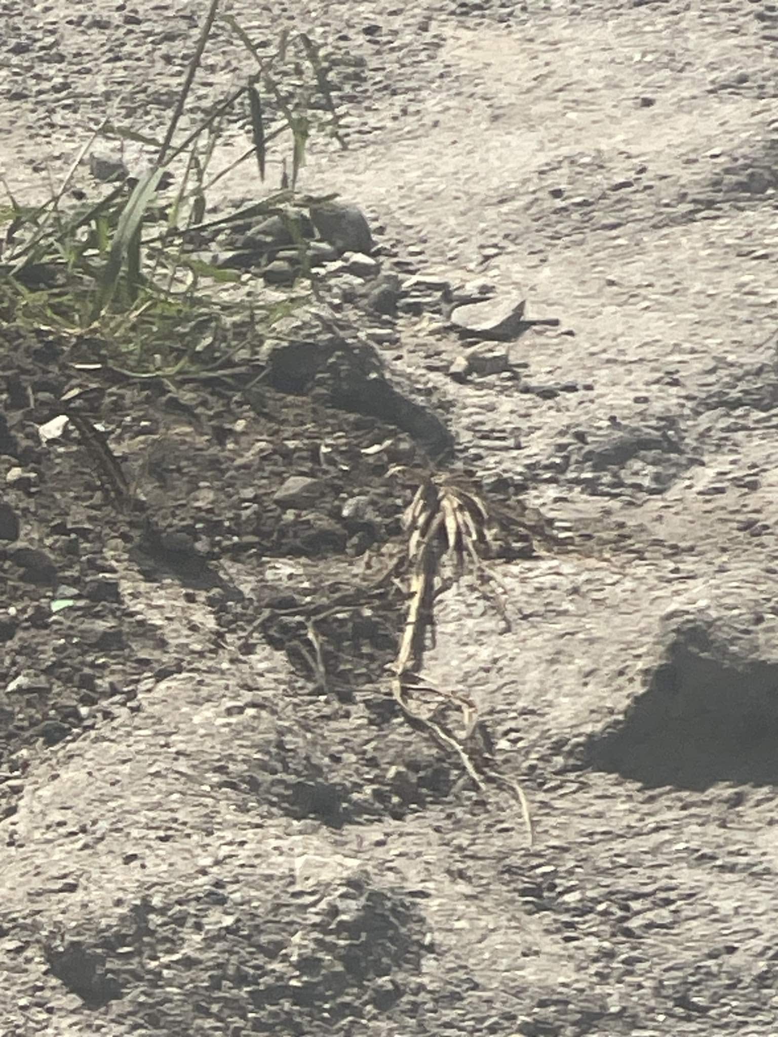 Oak Creek Park - La Mirada, CA